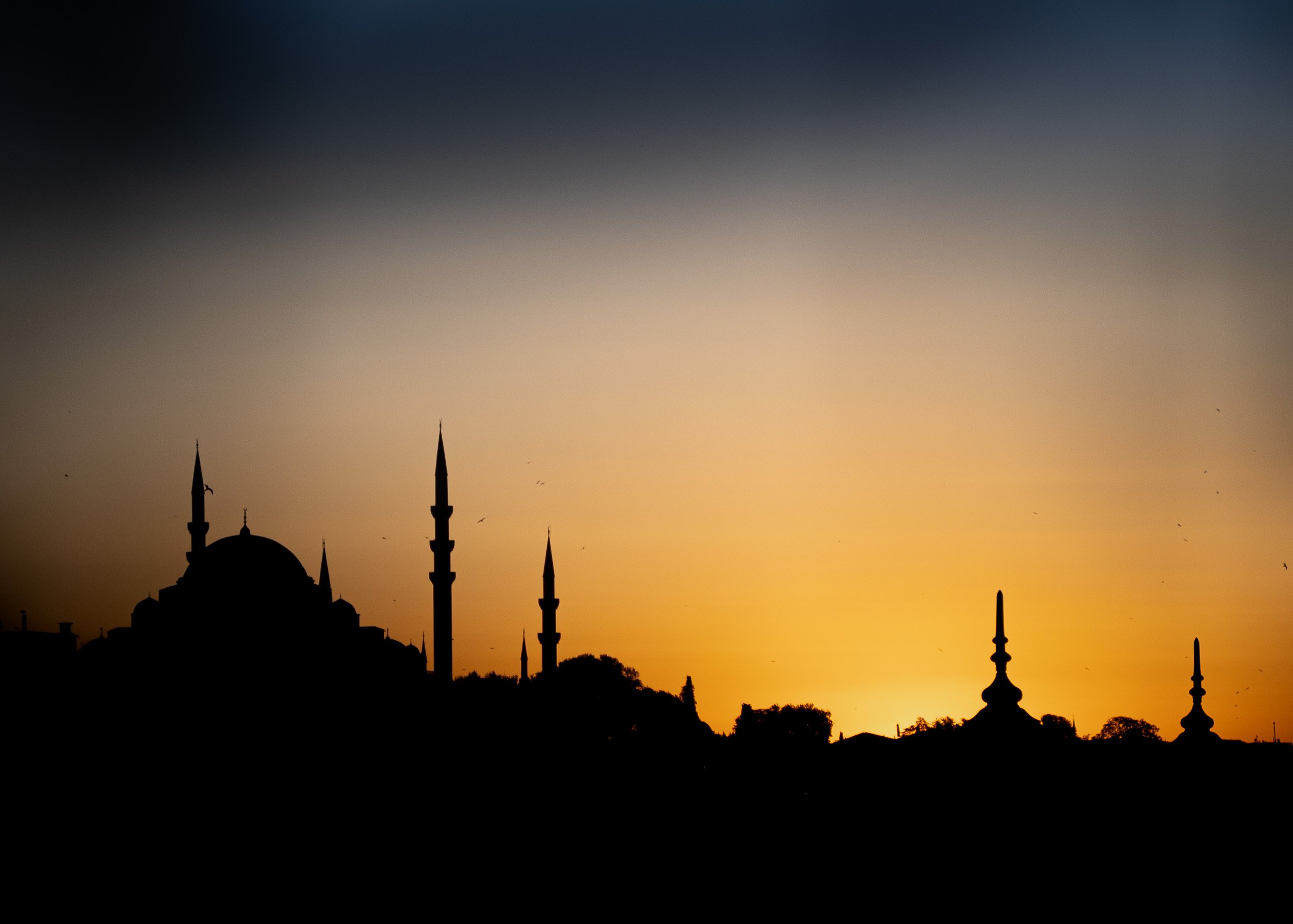 00_Documentary_Istanbul-240225.jpg