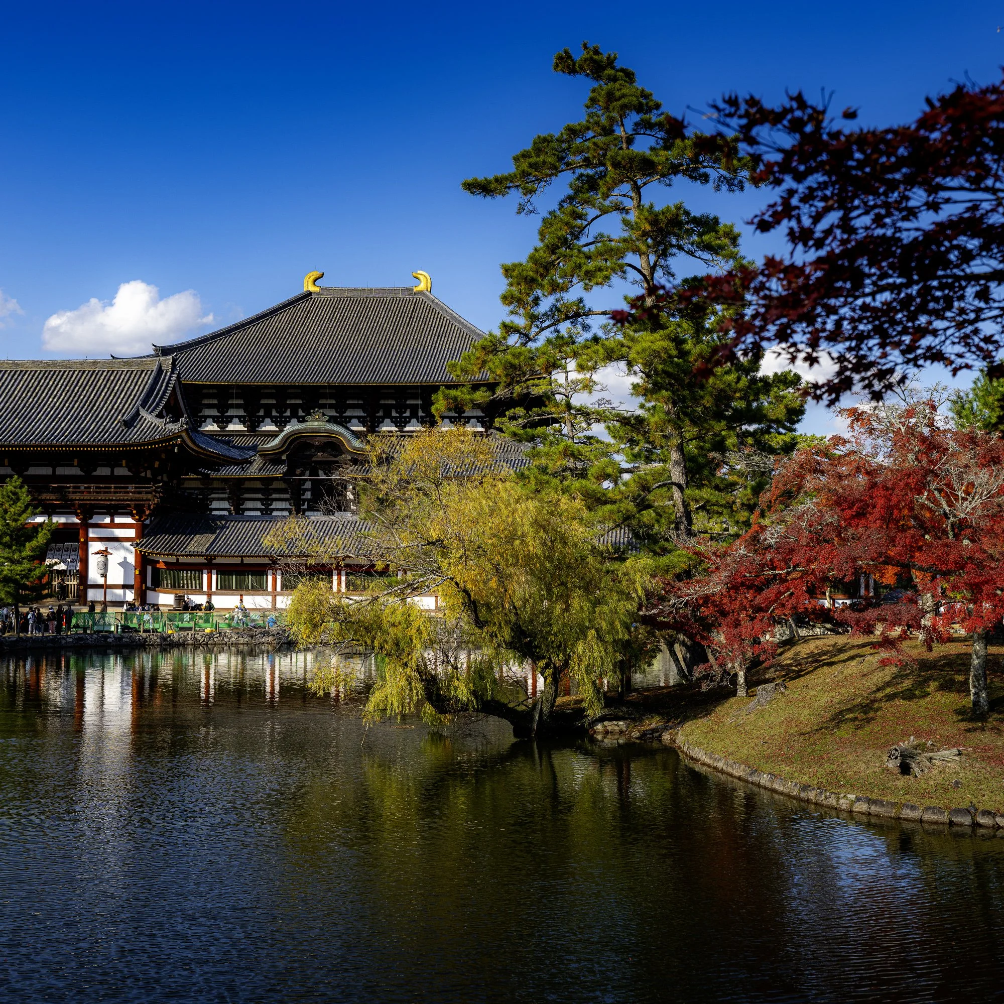 Nara-N-.jpg
