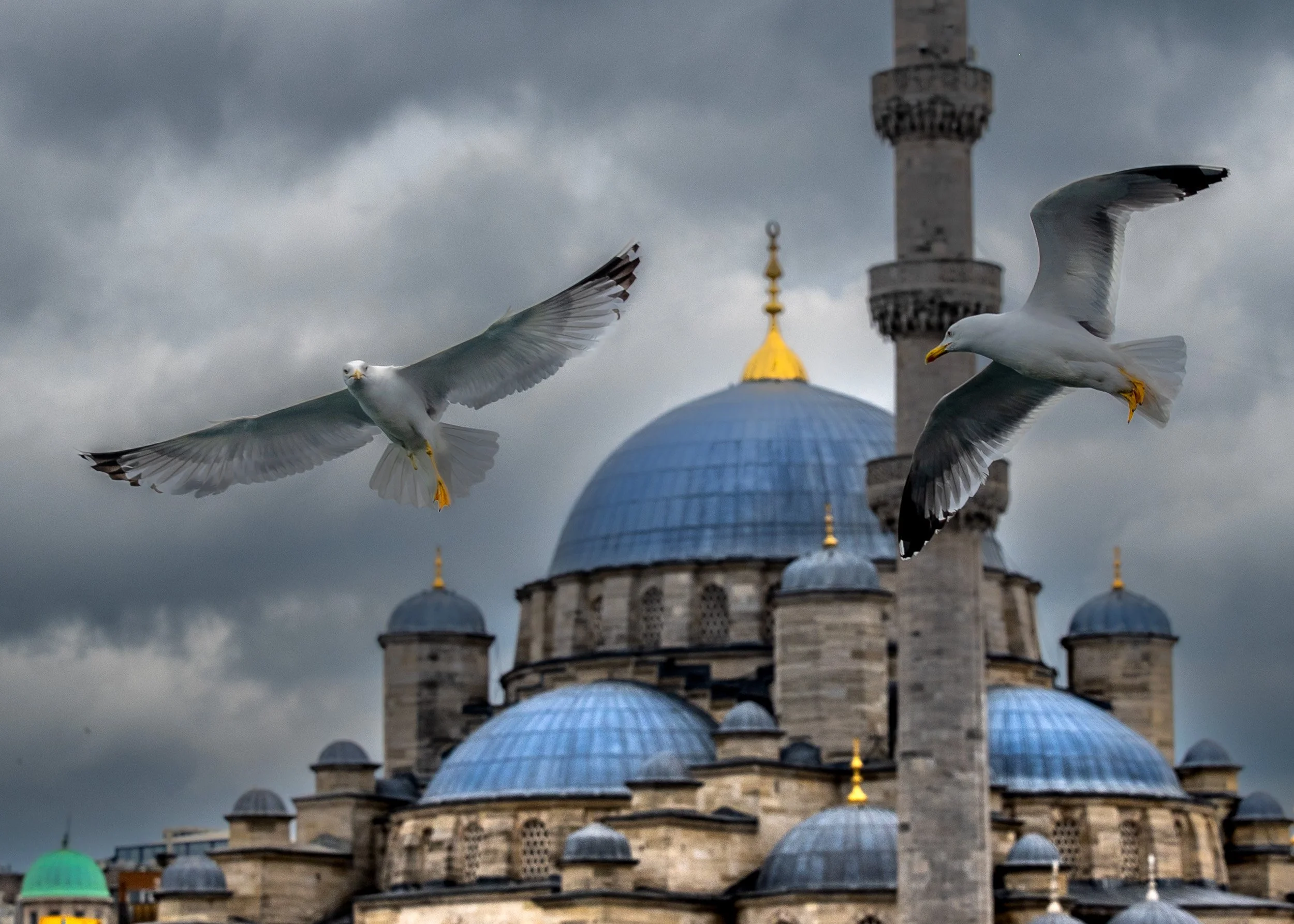00_Documentary_Istanbul-241813.jpg