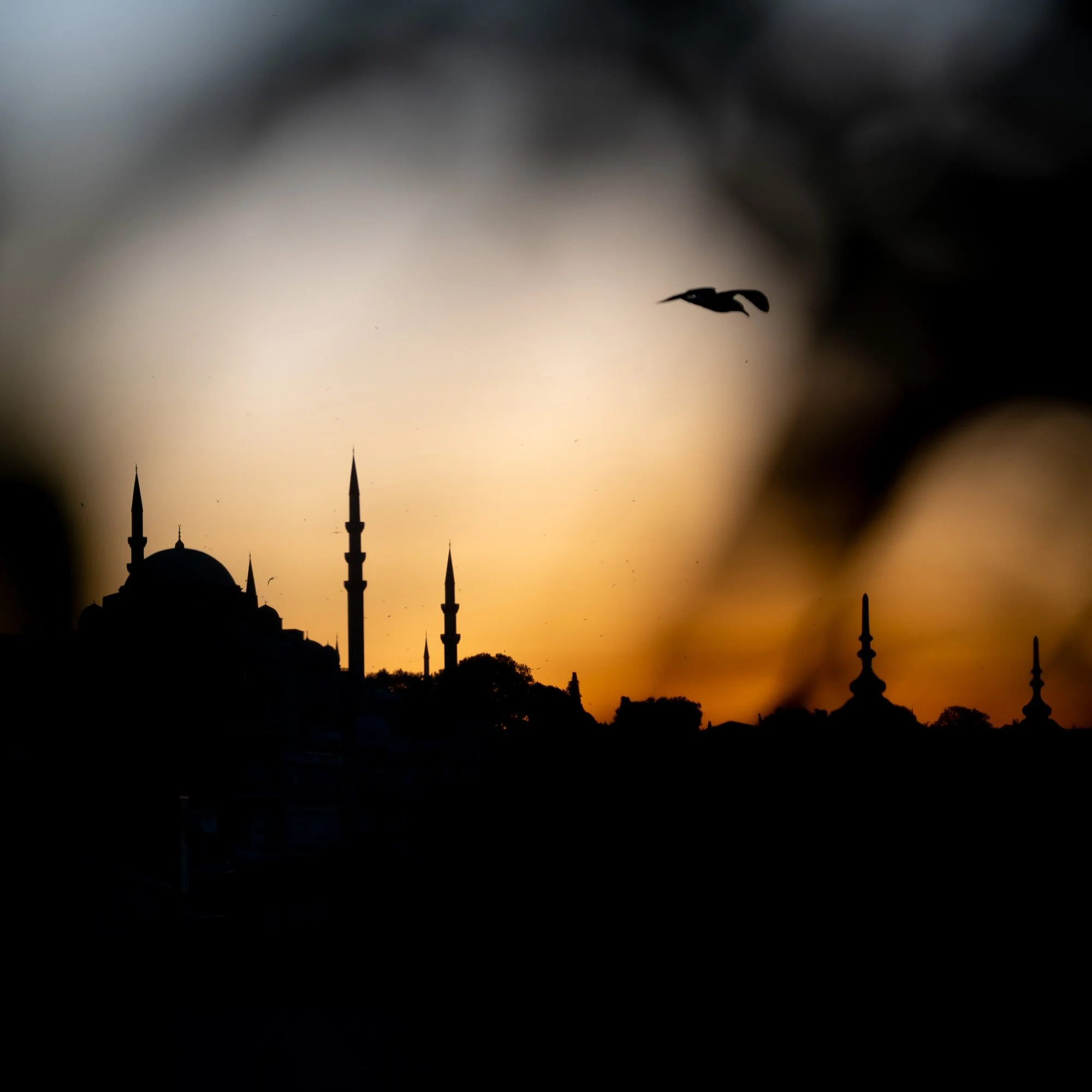 00_Documentary_Istanbul-240233.jpg