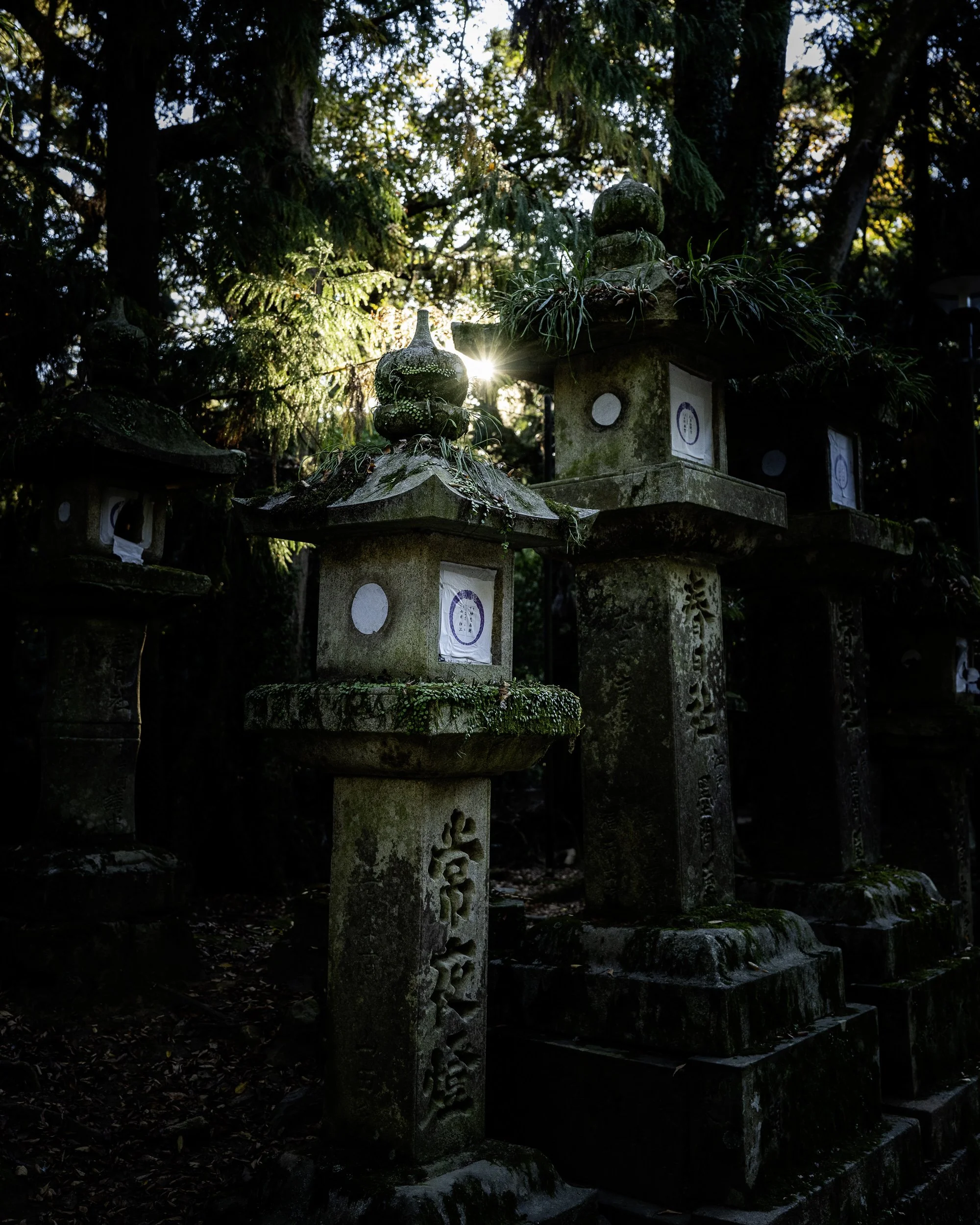 Nara-7243.jpg