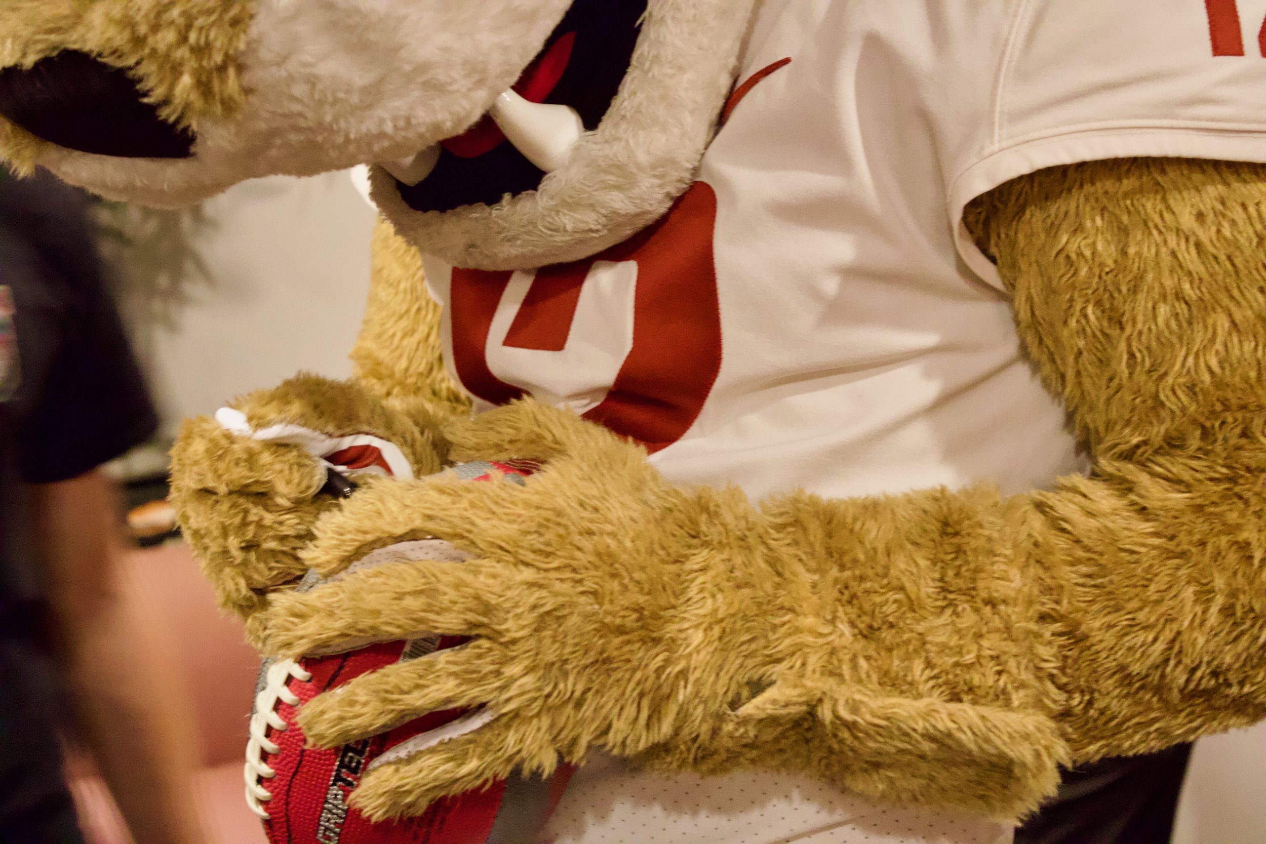 A person in a mascot costume of a furry animal, possibly a tiger, holding a red football with white laces and logo, wearing a white sports jersey with red and black details.