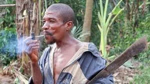 The Last Pygmies