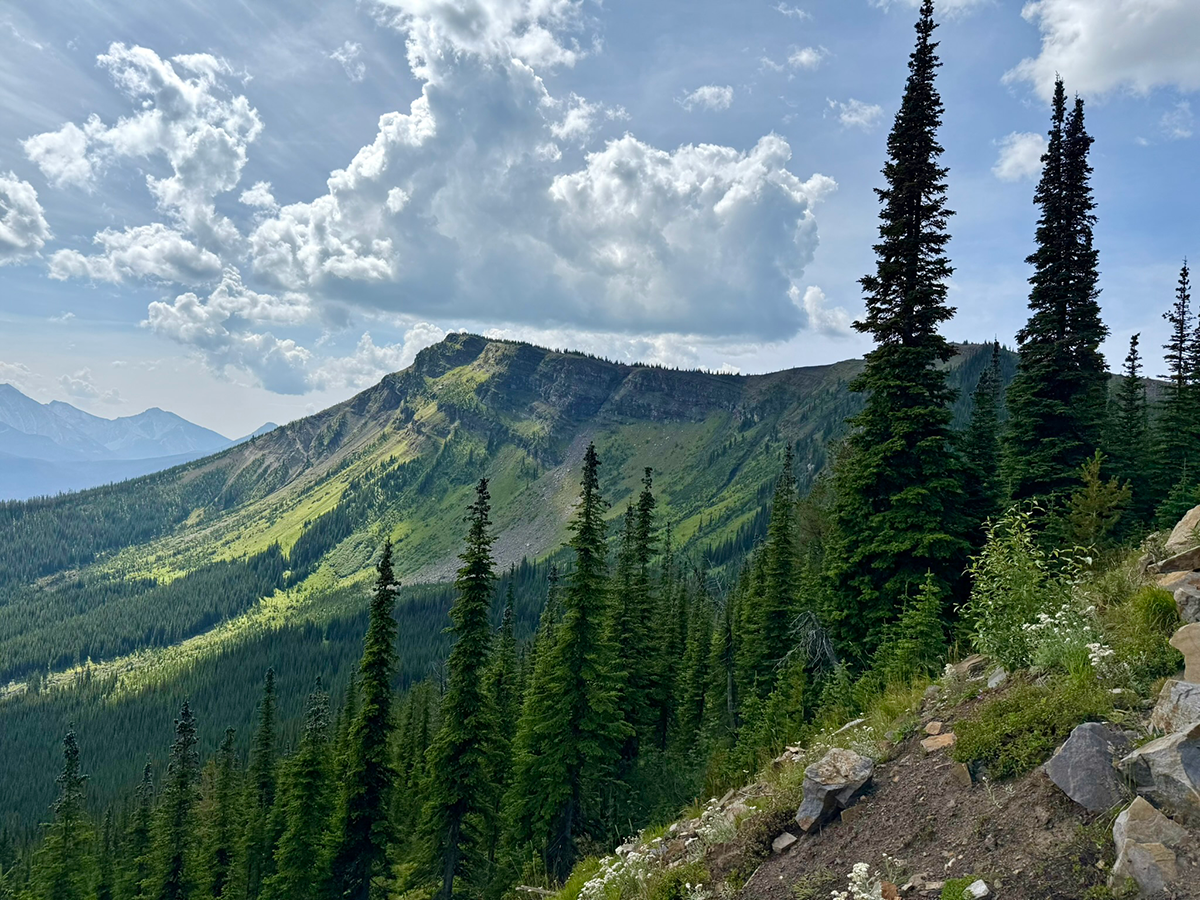 Mountain landscape at the site with green slopes, tall pine trees, rocky foreground, and partly cloudy sky.