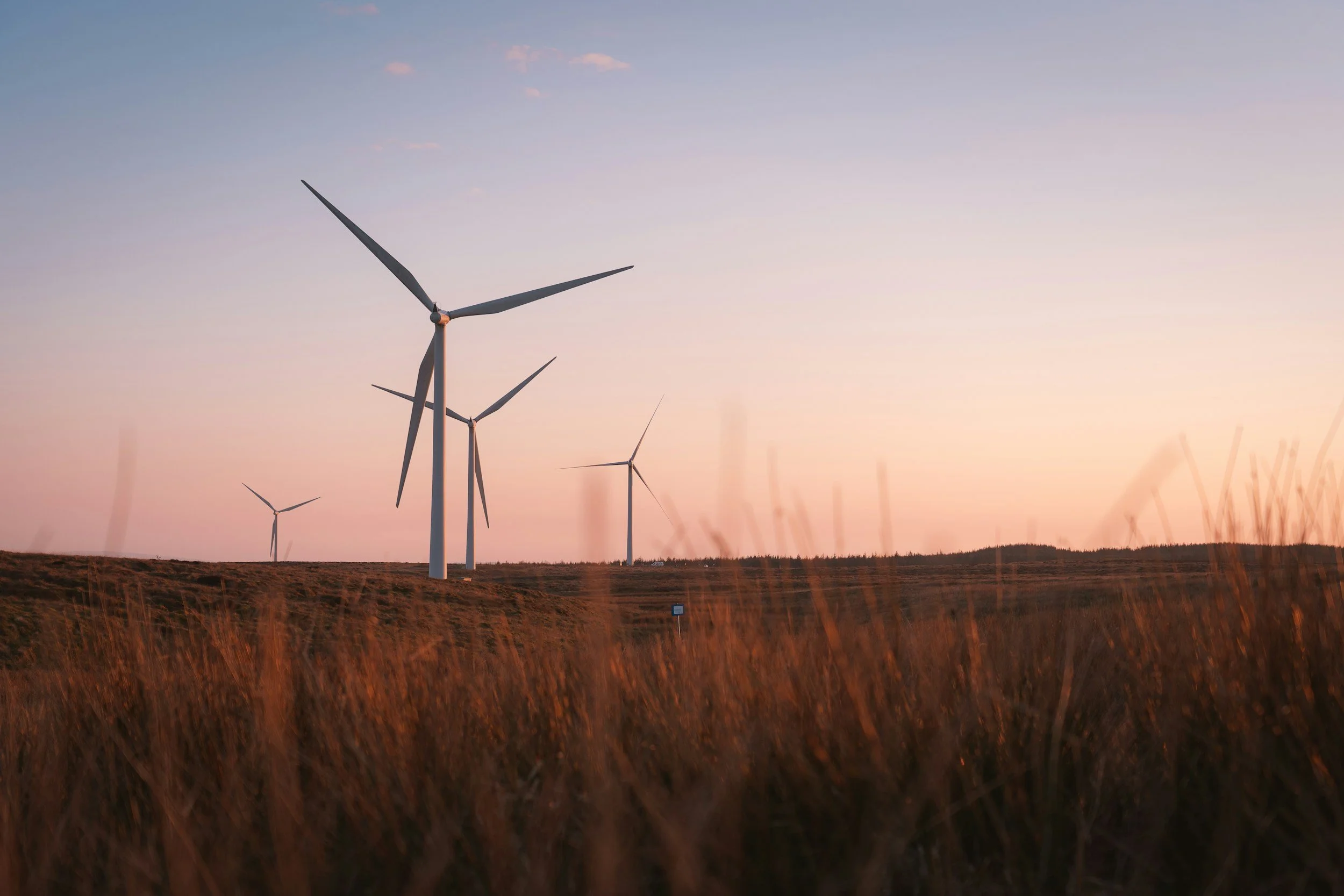 renewable power-  windmills in a field at sunset