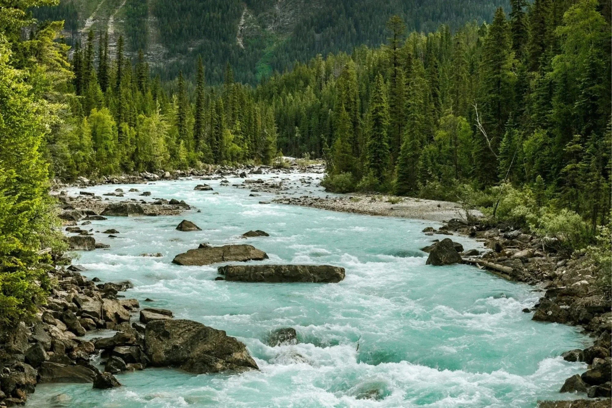 Working Towards a Common Net-Zero Goal