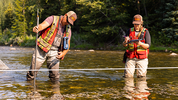 North Coal water data secured through Water Hub