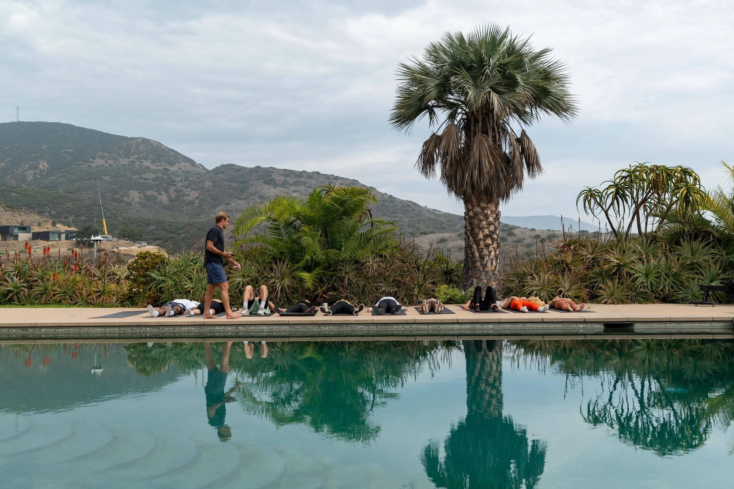 People participating in an outdoor yoga class near a swimming pool, with a large palm tree and mountains in the background.
