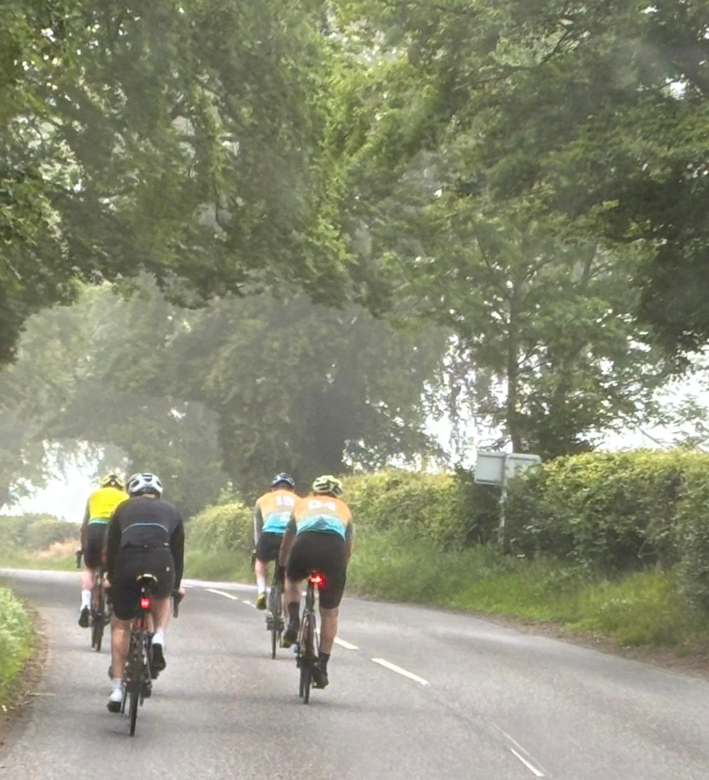 Four cyclists riding on a rural road surrounded by trees and greenery.