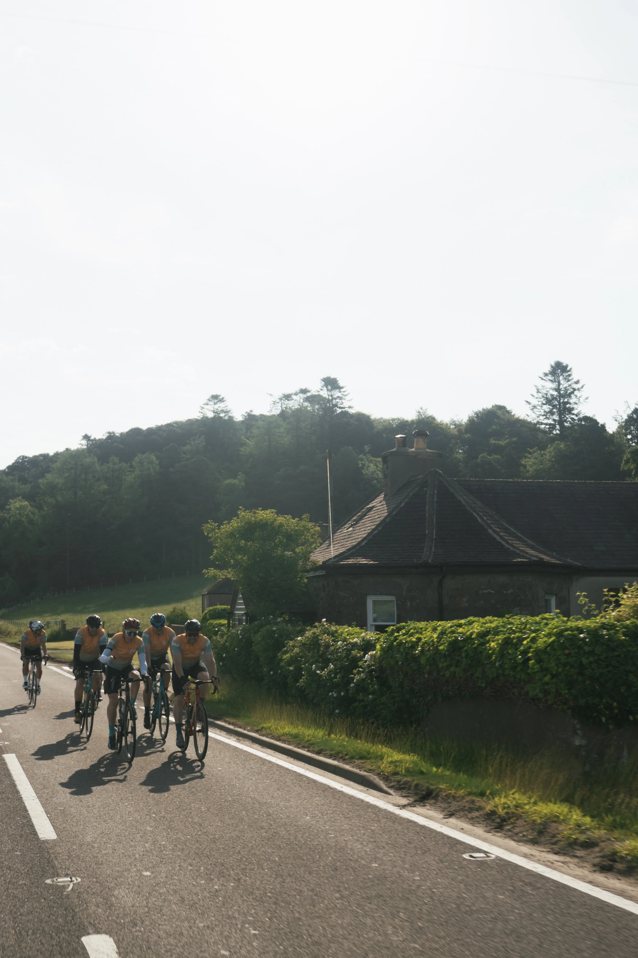 A group of six cyclists riding on a rural road near a house and greenery with trees in the background.