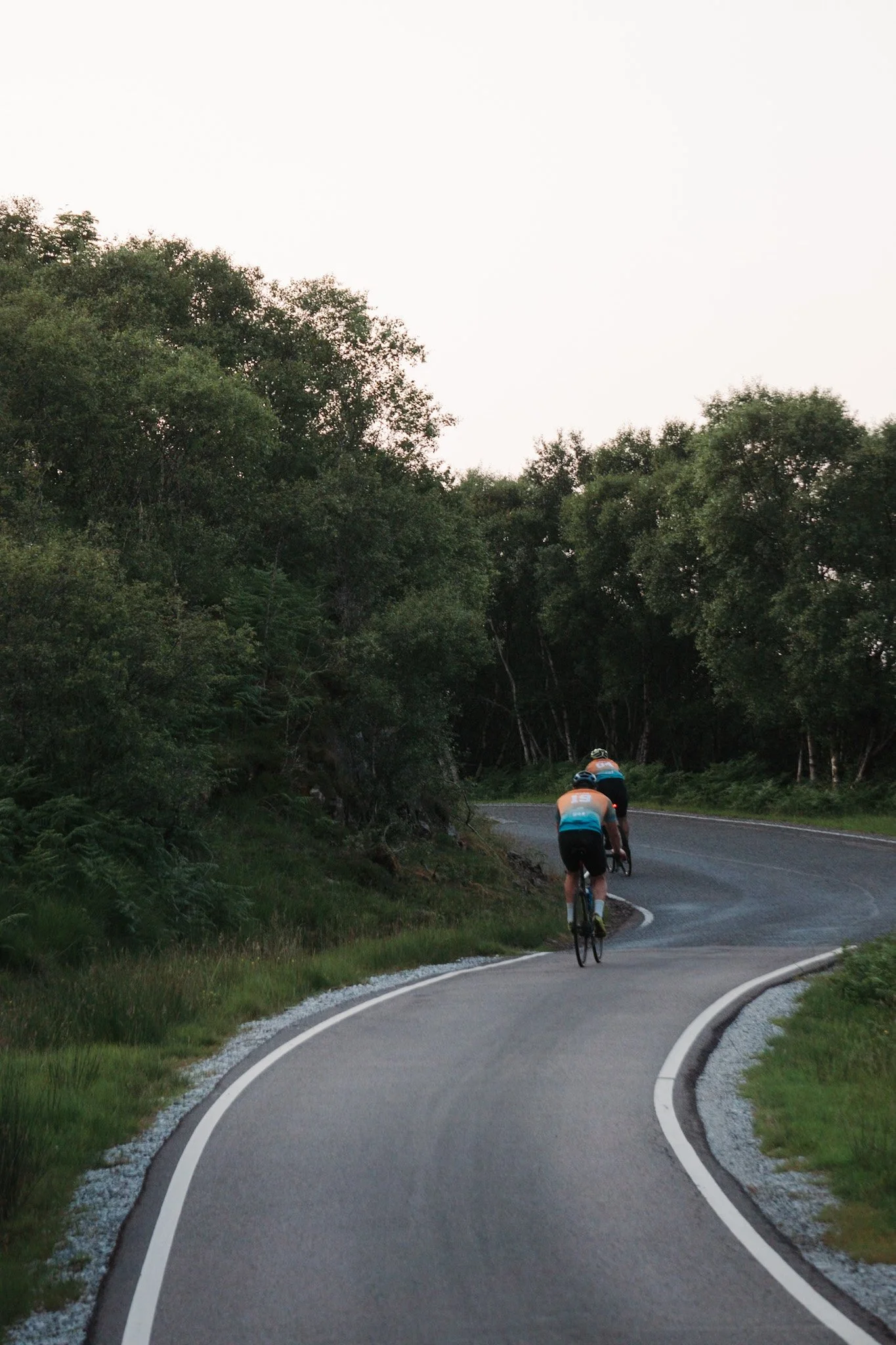 Two cyclists riding on a winding forest road