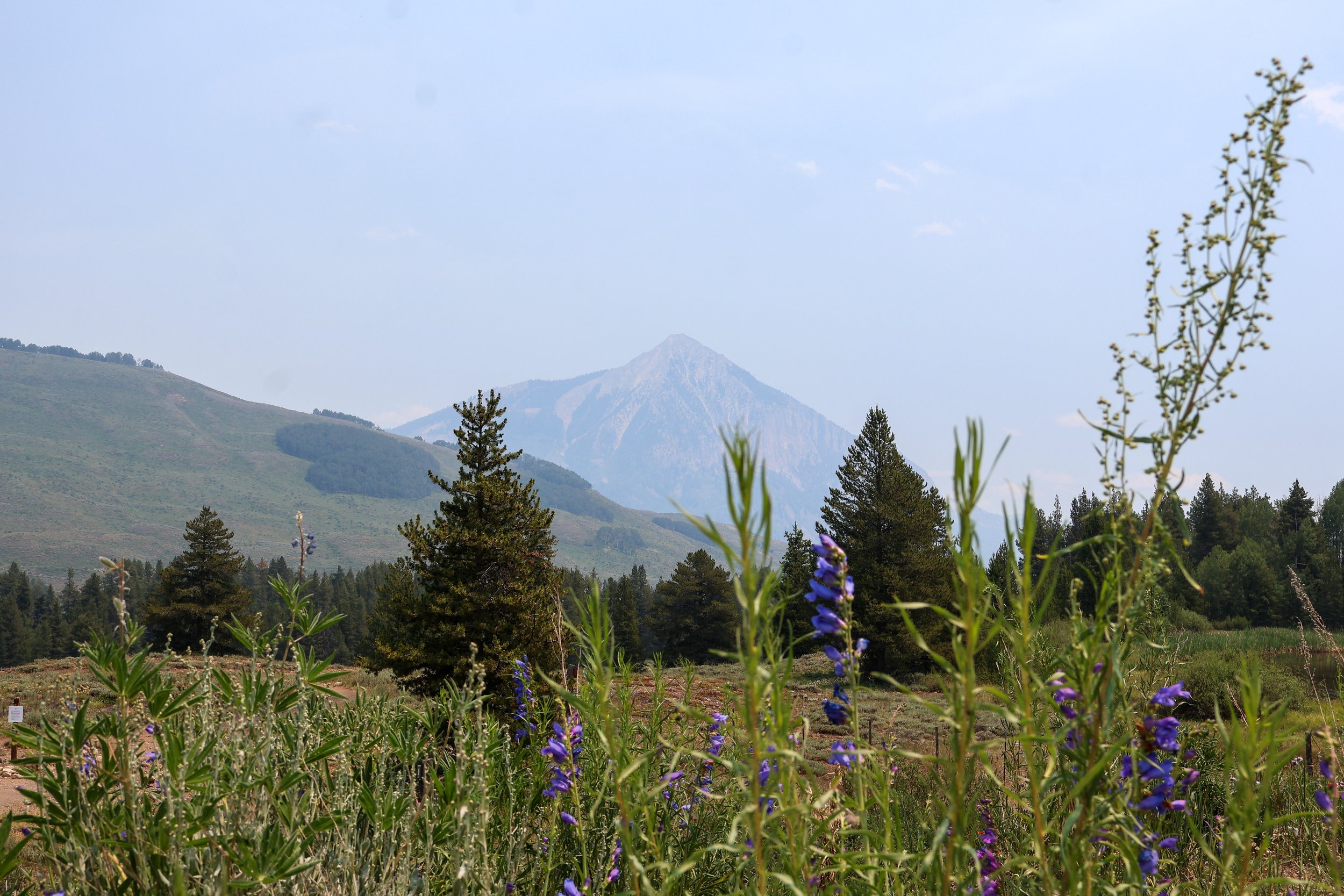 IMG_8944.jpg