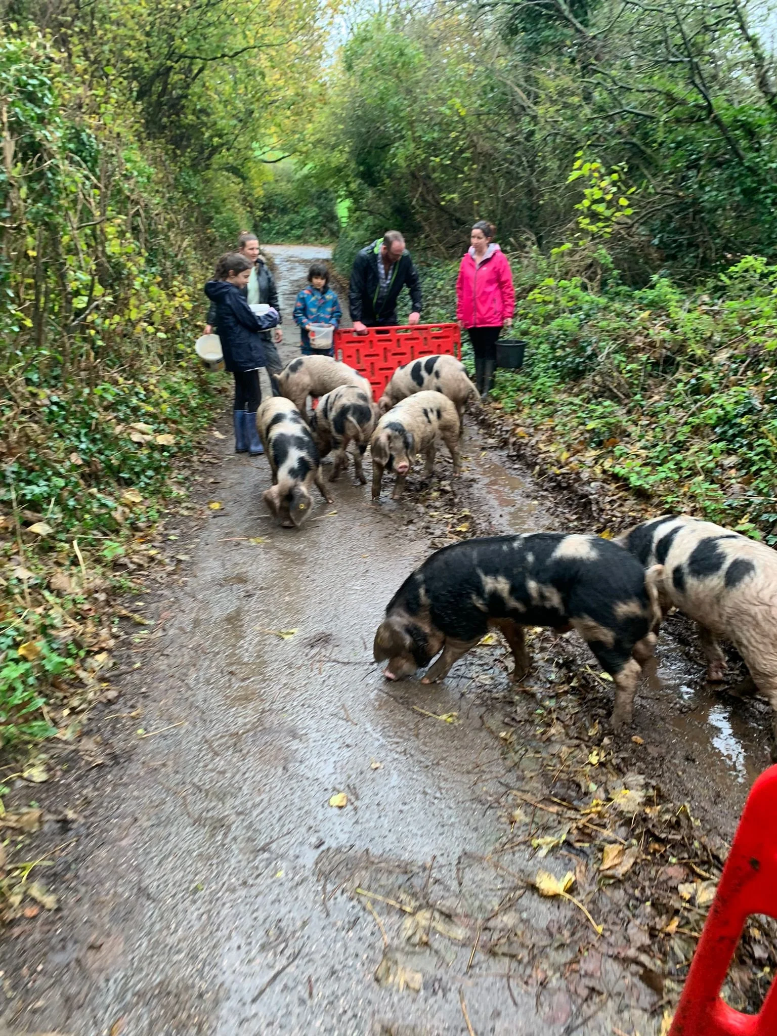 Student and Volunteer placements