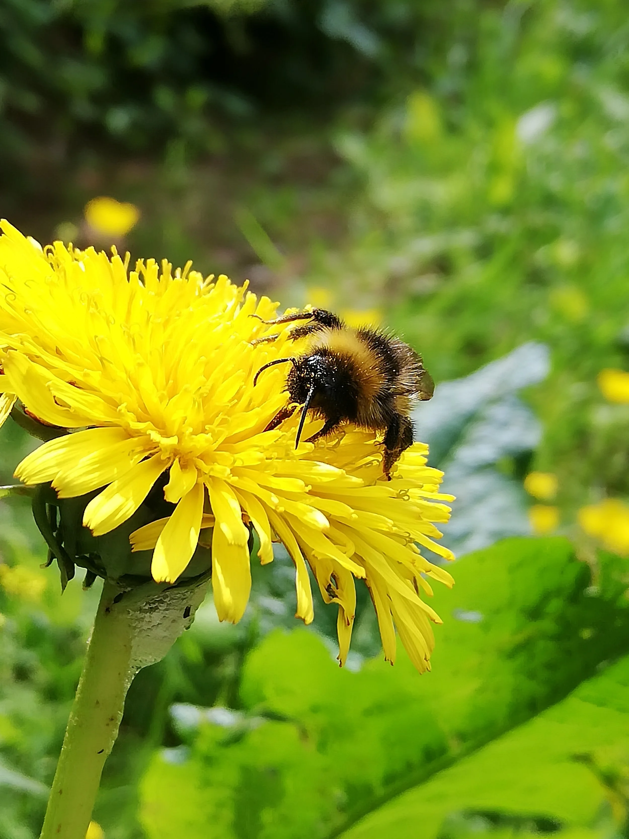 ♻ Small Steps Towards Sustainability