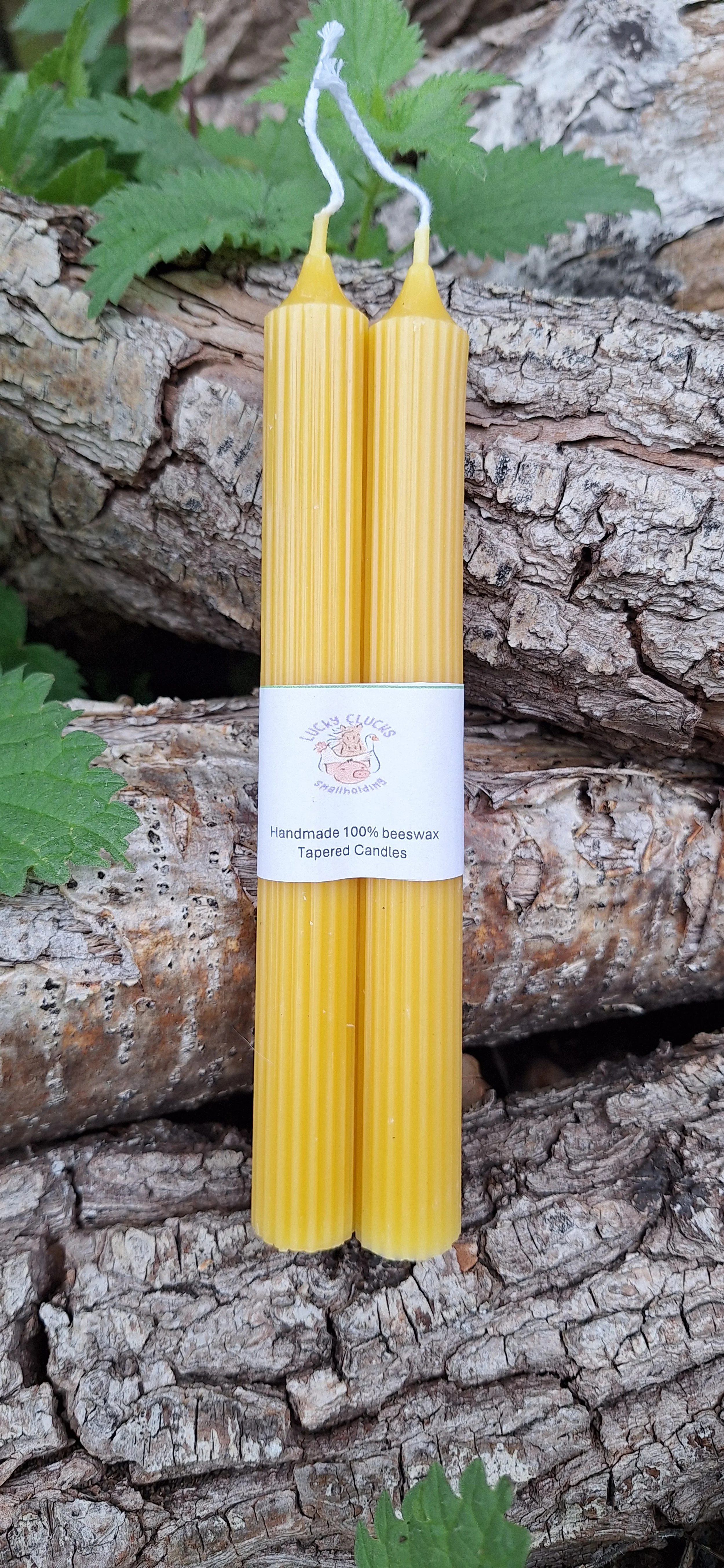 100% beeswax Taper candles 2 pack