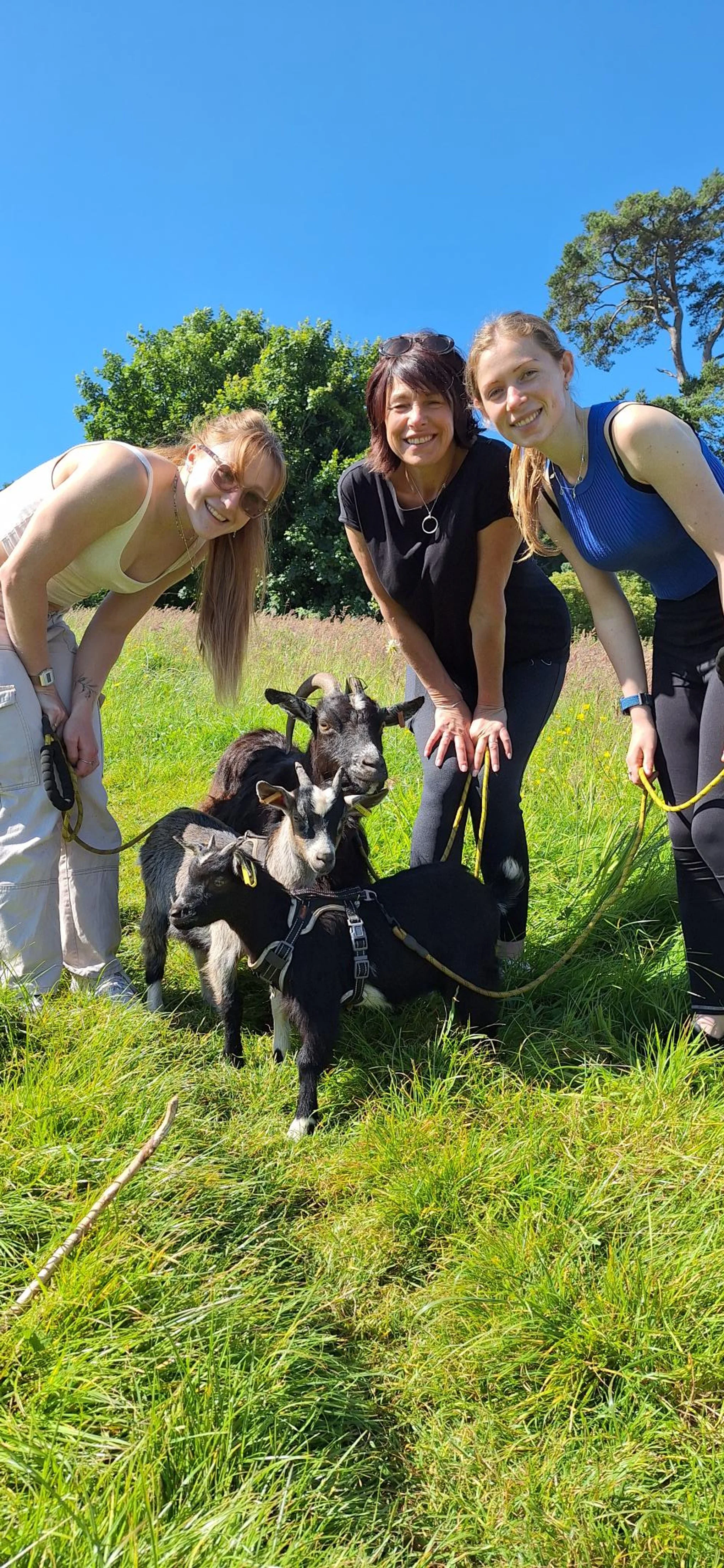 Lucky Clucks Smallholding c.i.c Goat walk
