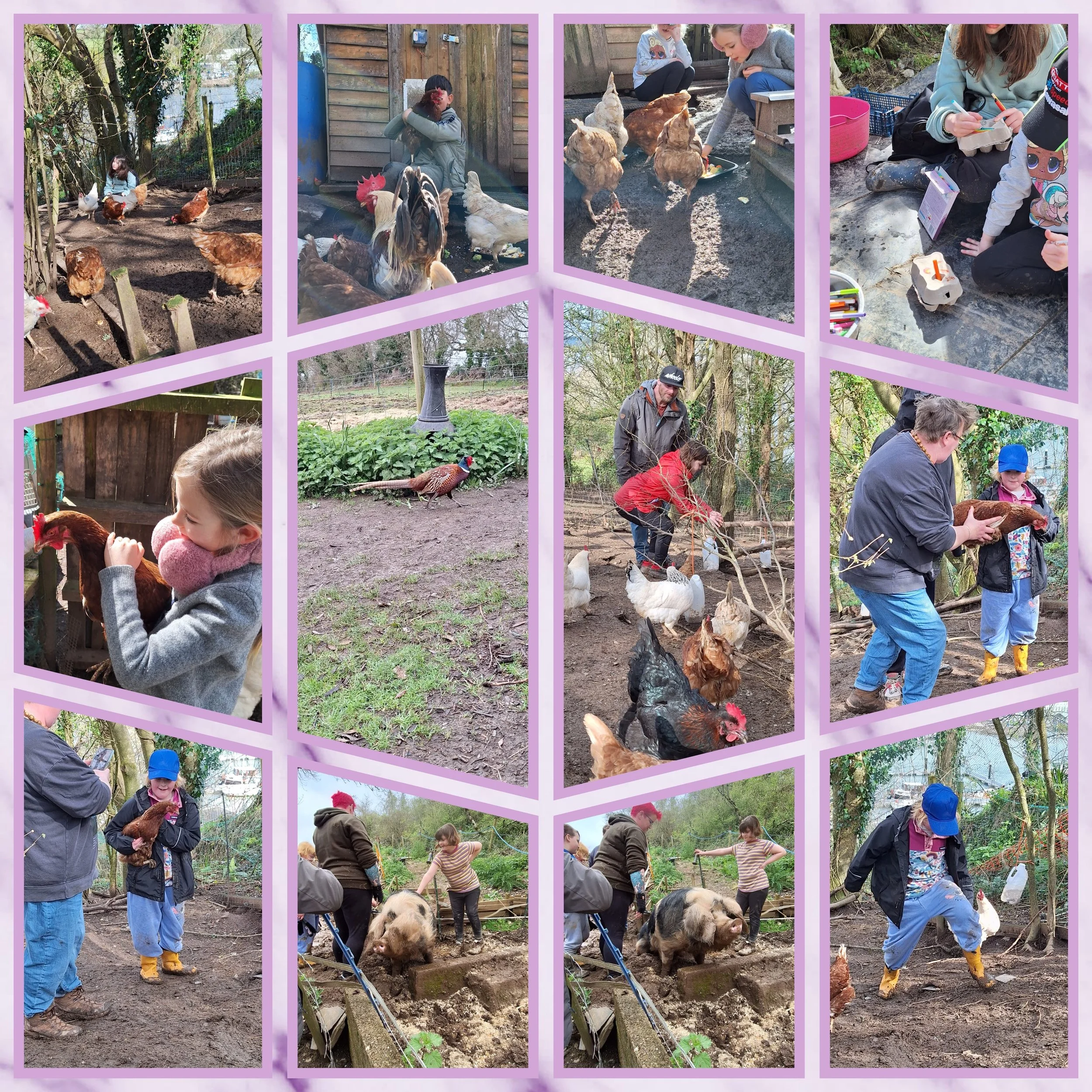 Cricket fields photos.jpg