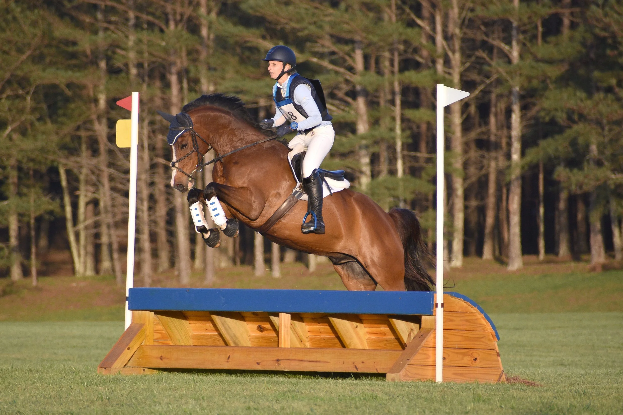 Photo Apr 01 2023, 6 38 18 PM.jpg