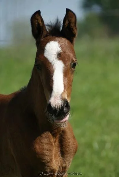 Photo Feb 10 2026, 6 50 17 PM (28) (1).jpg