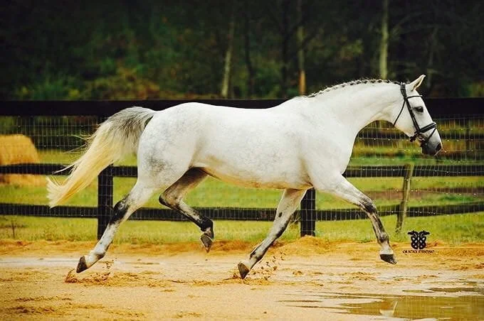 Photo Feb 10 2026, 6 50 17 PM (26).jpg