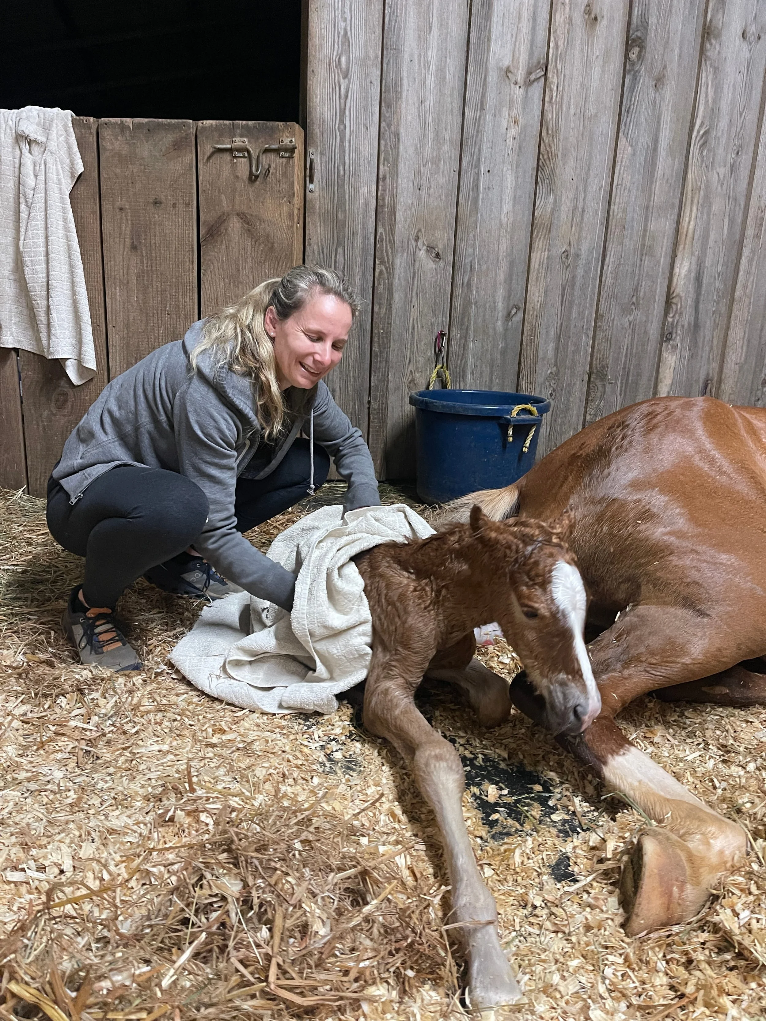 Photo Apr 05 2025, 3 35 15 AM.jpg