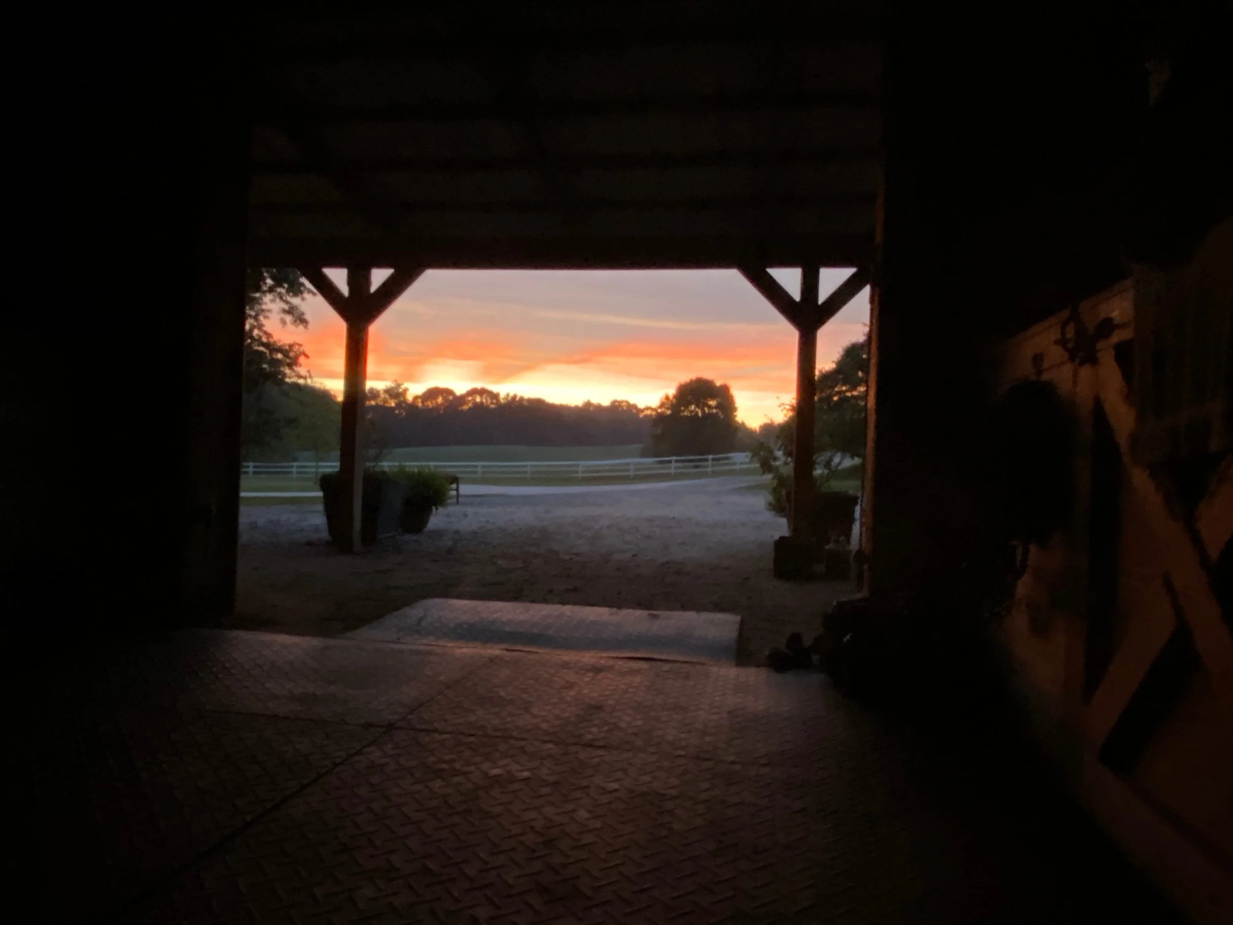 Photo Jul 12 2020, 9 07 59 PM.jpg