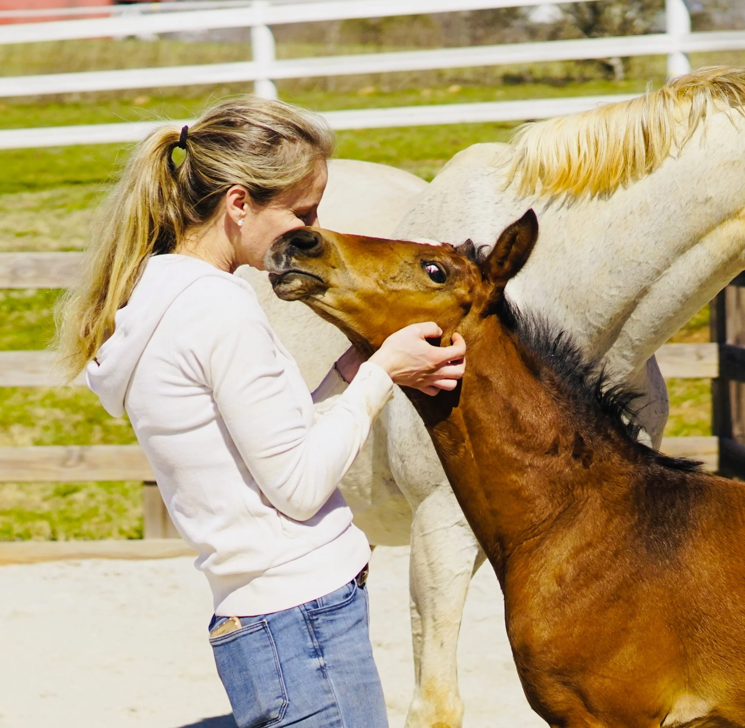 Photo Feb 24 2021, 1 07 24 PM.jpg