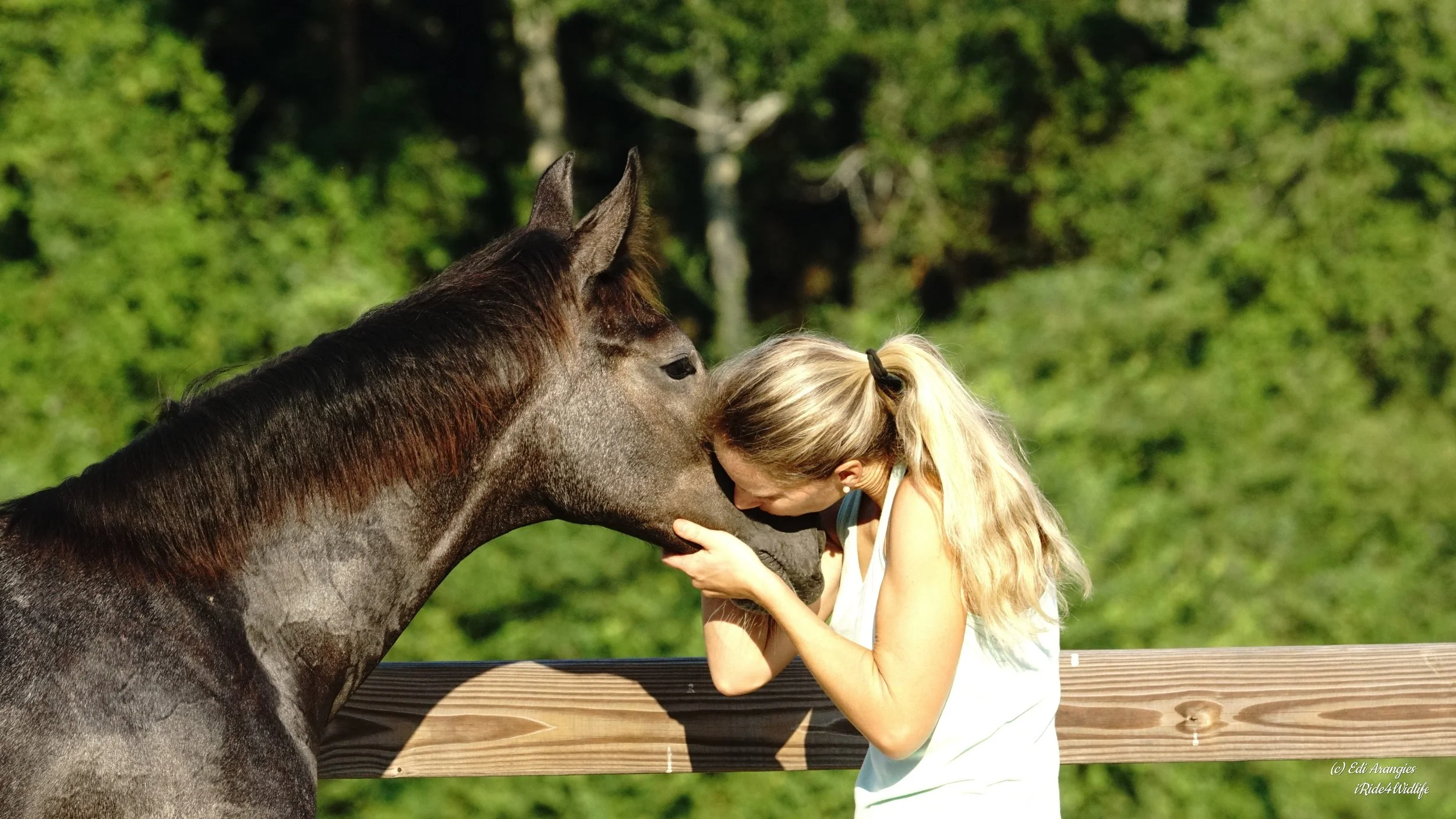 Photo Aug 05 2020, 8 55 19 AM.jpg