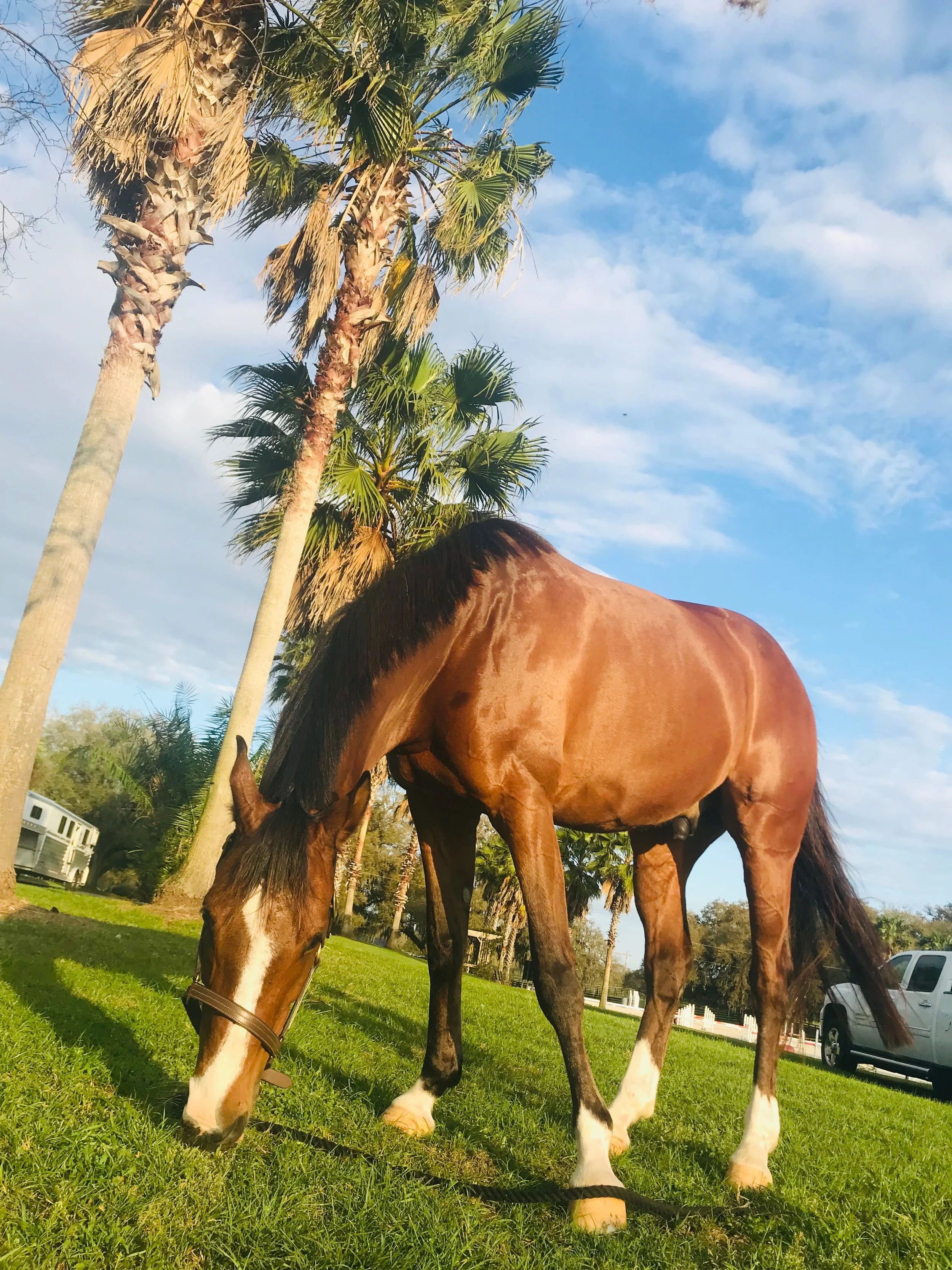 Photo Feb 21 2019, 5 16 04 PM.jpg