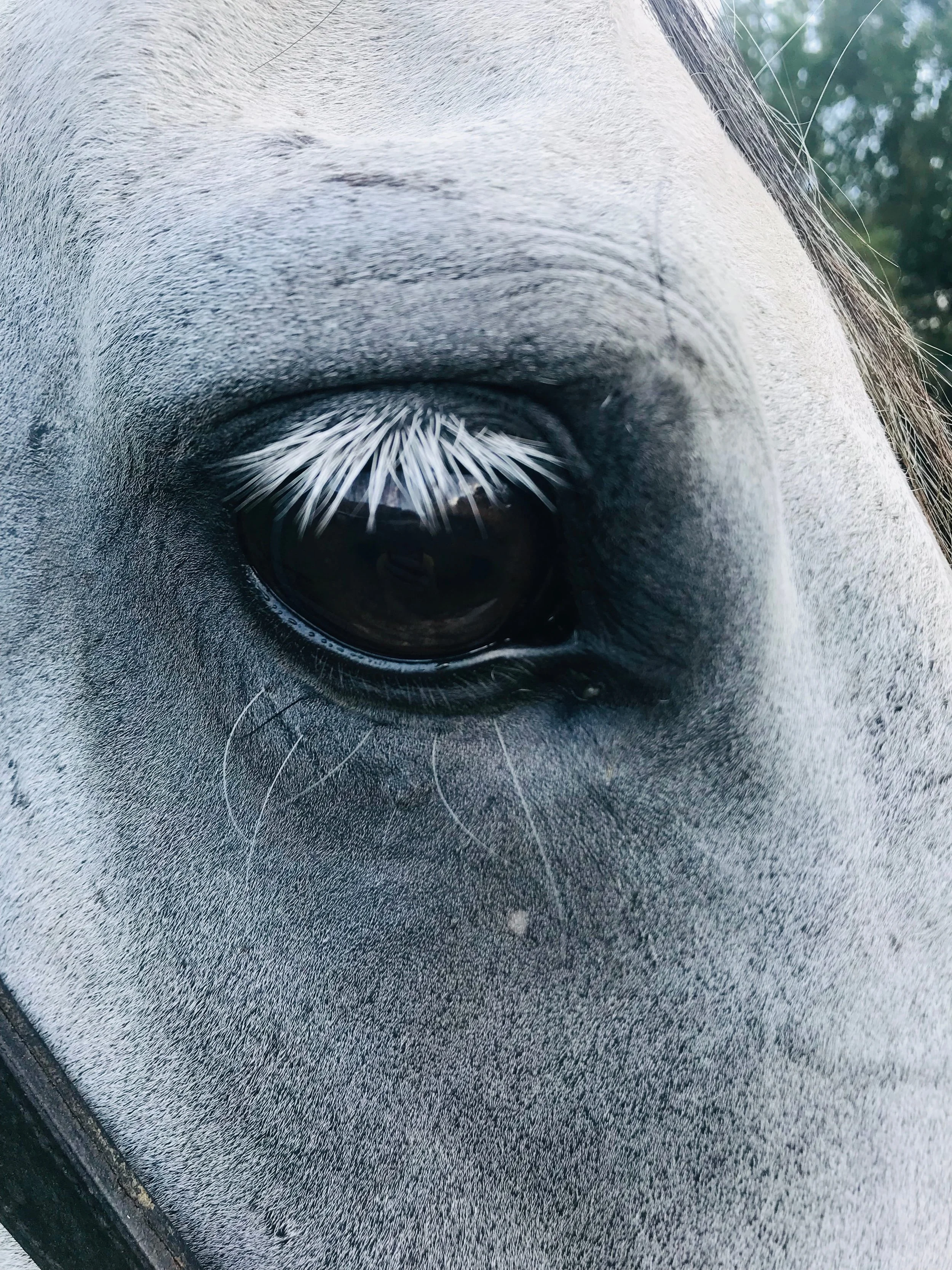 Photo Sep 12 2019, 4 52 27 PM.jpg