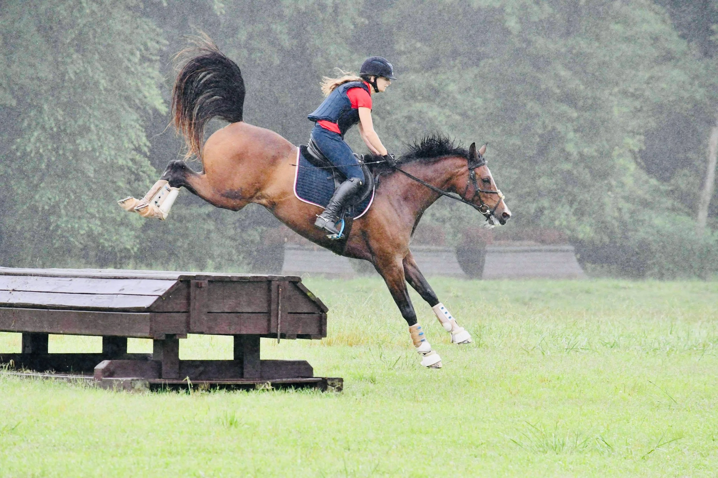 Photo Feb 10 2026, 6 50 17 PM (7).jpg