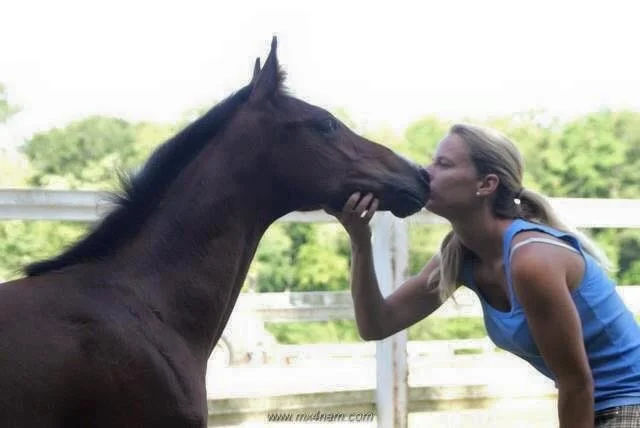 Photo Feb 10 2026, 6 50 17 PM (14).jpg