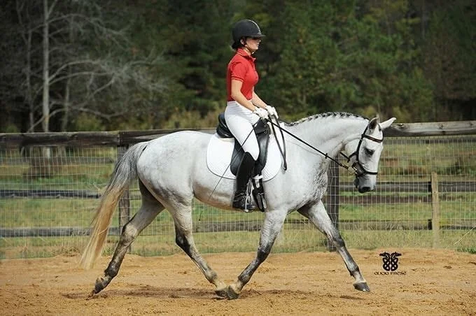 Photo Feb 10 2026, 6 50 17 PM (17).jpg