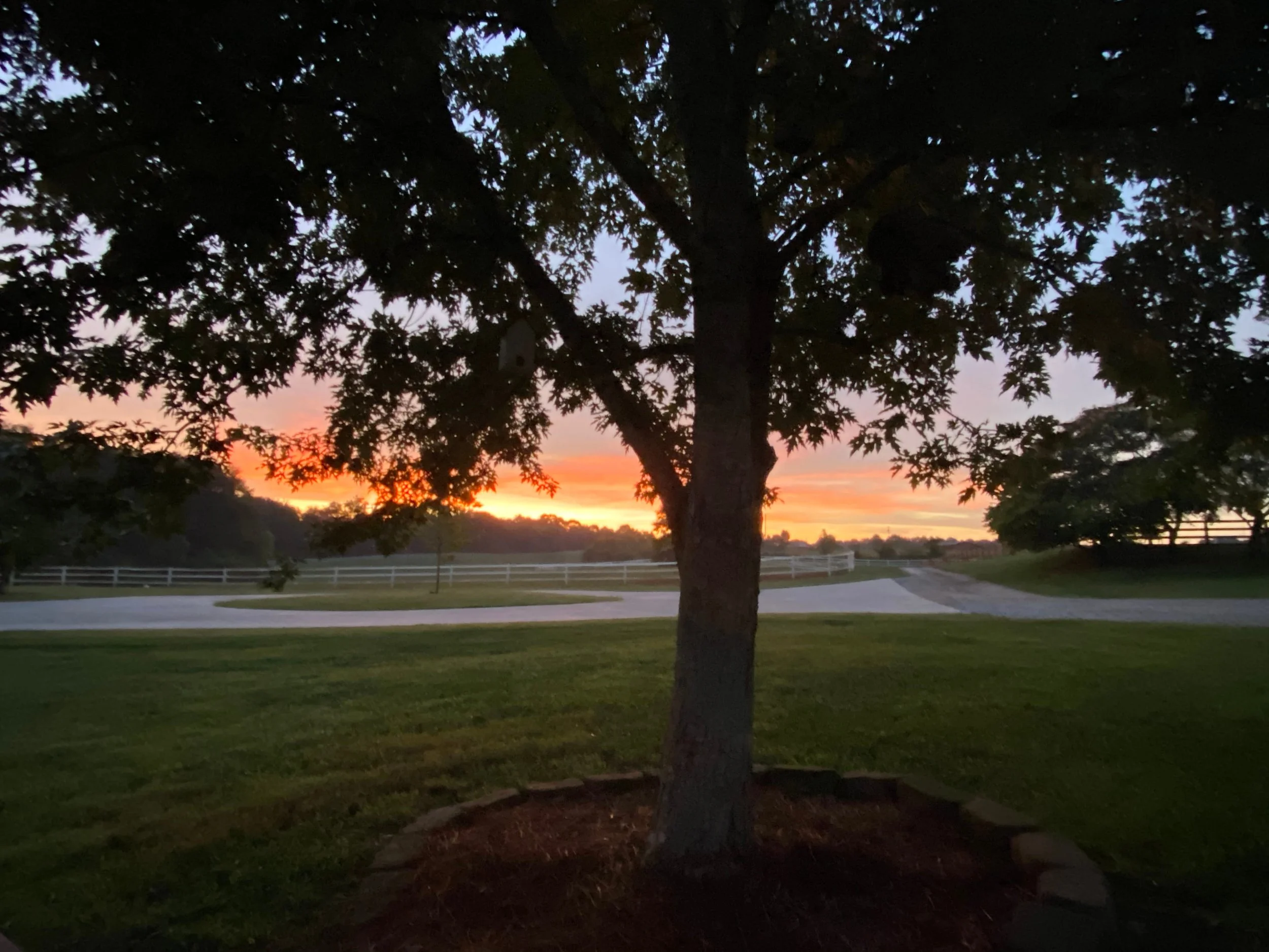 Photo Jul 12 2020, 9 06 58 PM.jpg