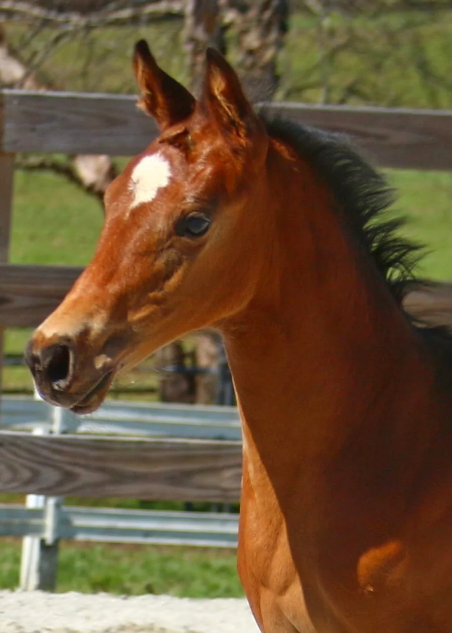 Photo Feb 24 2021, 12 27 14 PM.jpg