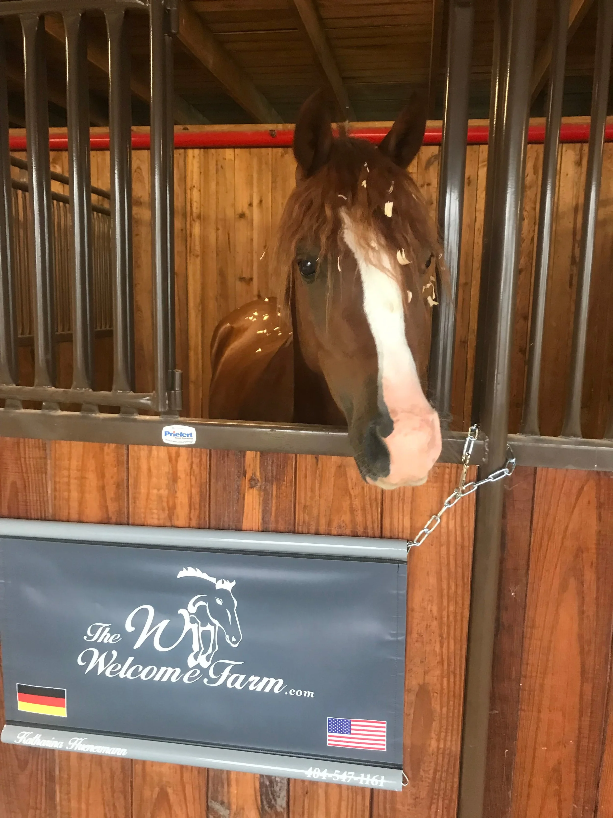 Photo Sep 01 2019, 7 21 31 AM.jpg