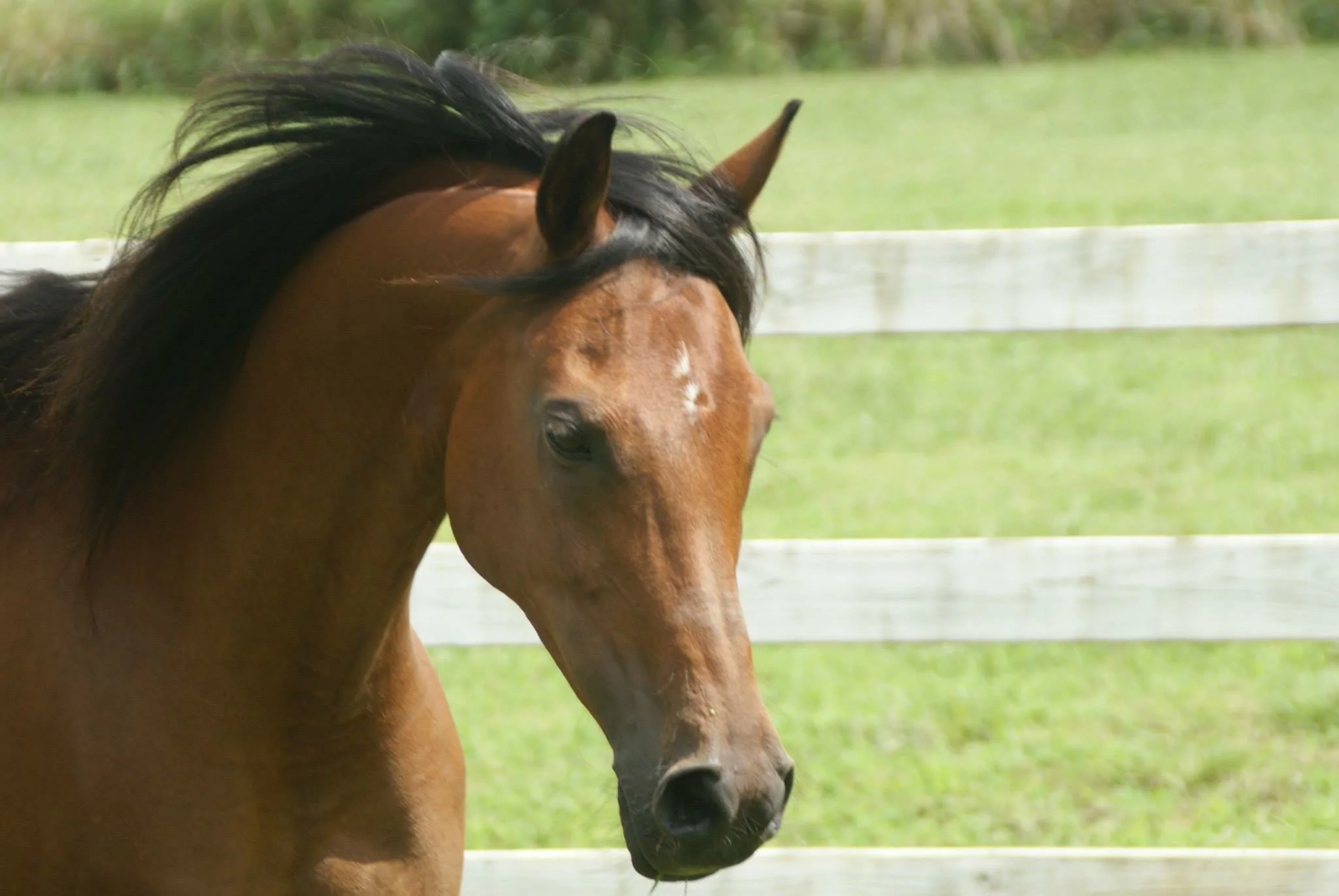 Photo Feb 10 2026, 6 50 17 PM (20).jpg