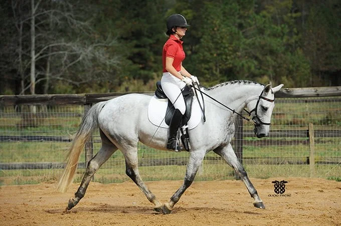 Photo Feb 10 2026, 6 50 17 PM (27).jpg