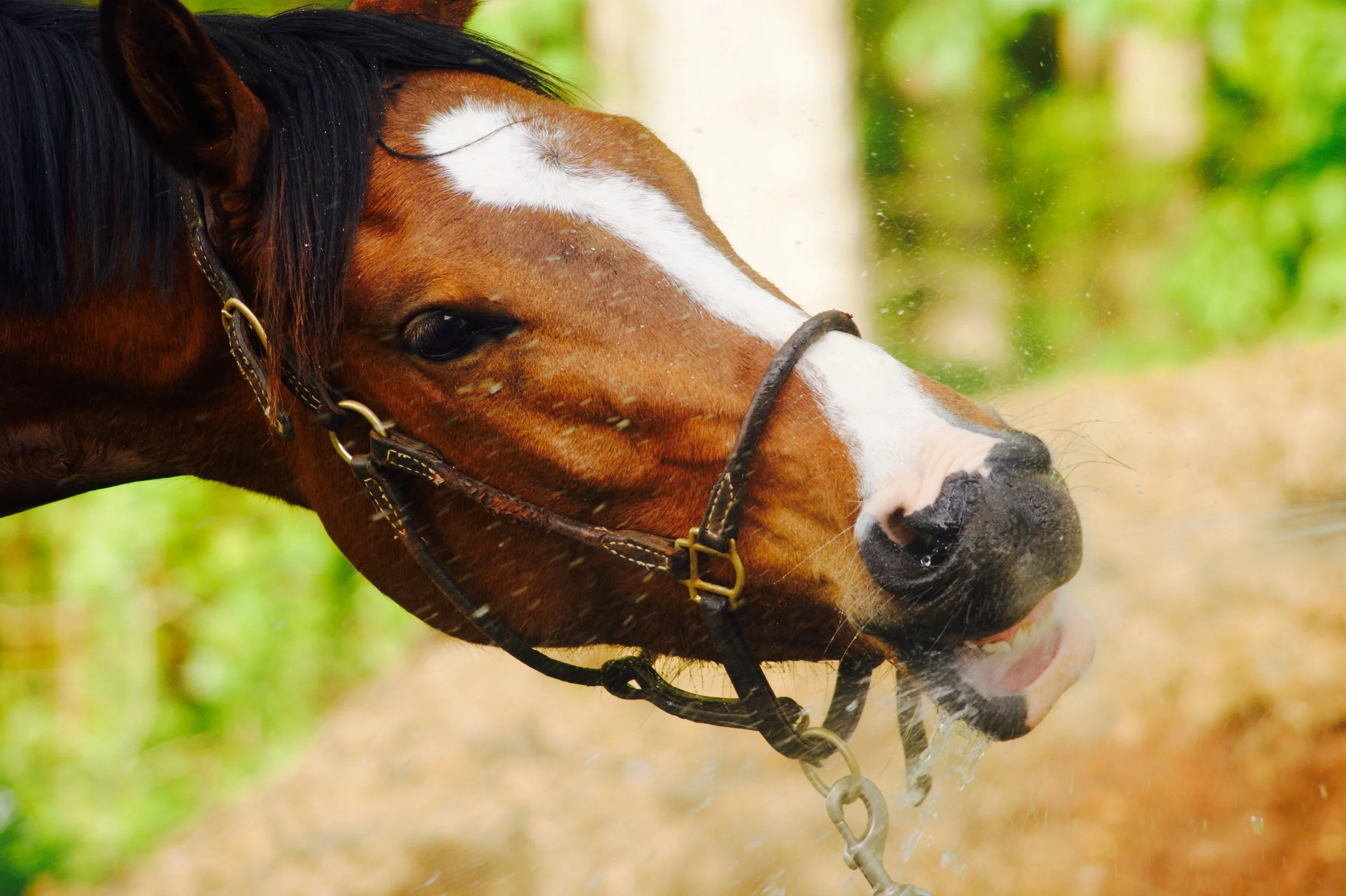 Photo Apr 16 2015, 12 42 56 AM.jpg