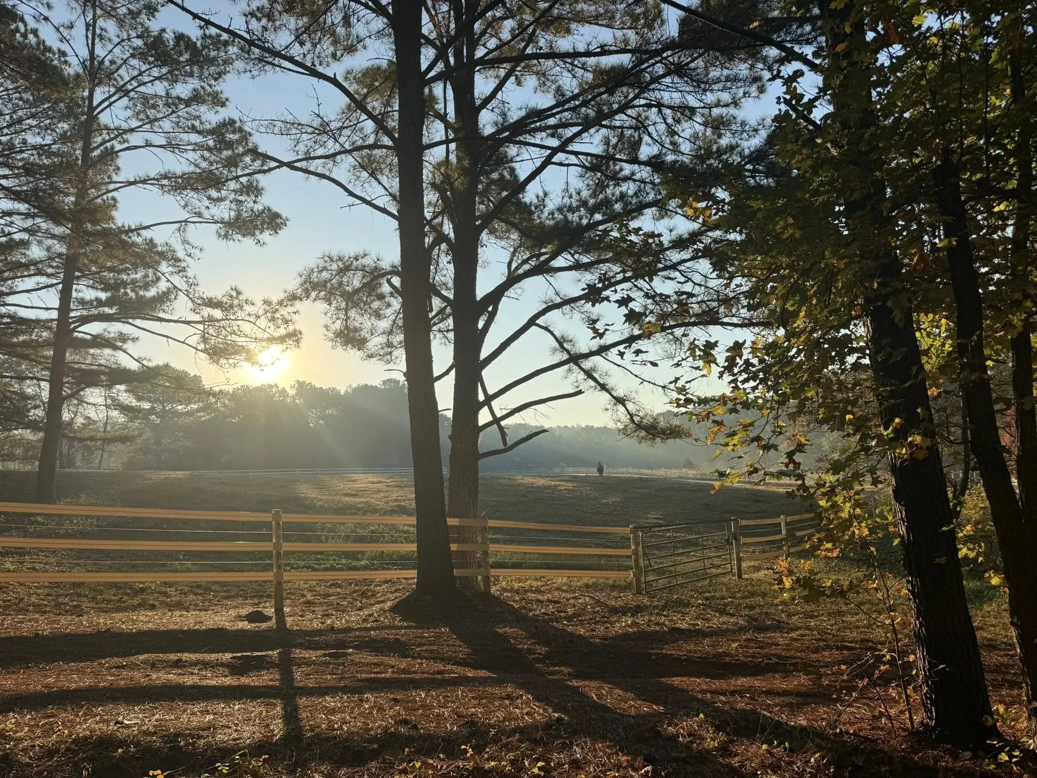 Sunrise over a rural landscape with trees, a fence, and distant fields.