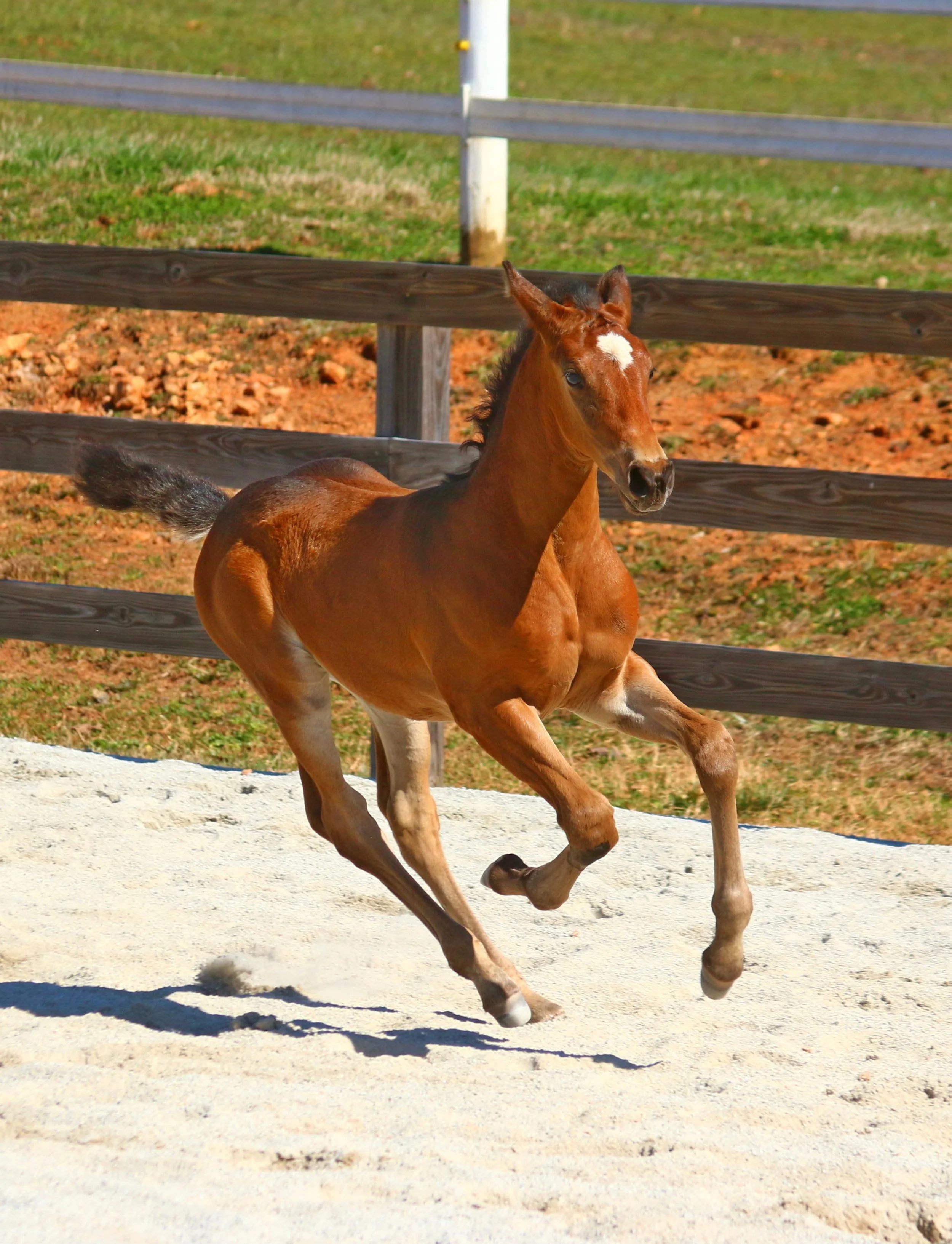 Photo Feb 24 2021, 12 37 20 PM.jpg