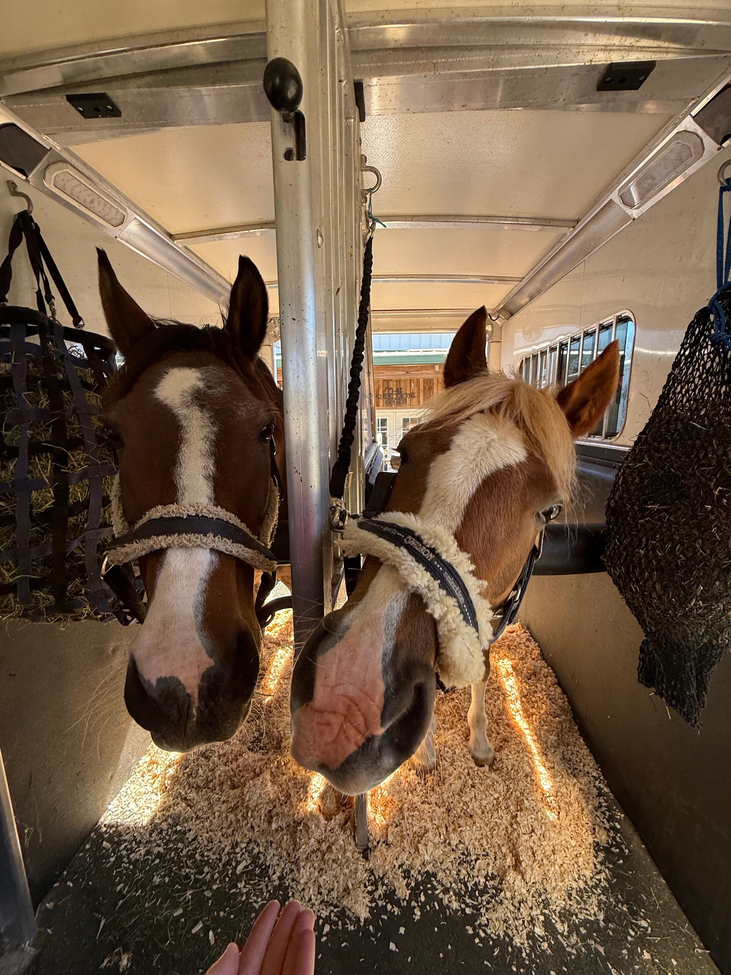 Photo Feb 28 2025, 11 24 50 AM.jpg