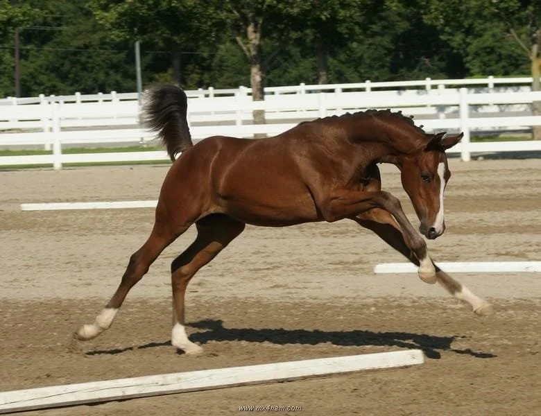 Photo Feb 10 2026, 6 50 17 PM (23).jpg