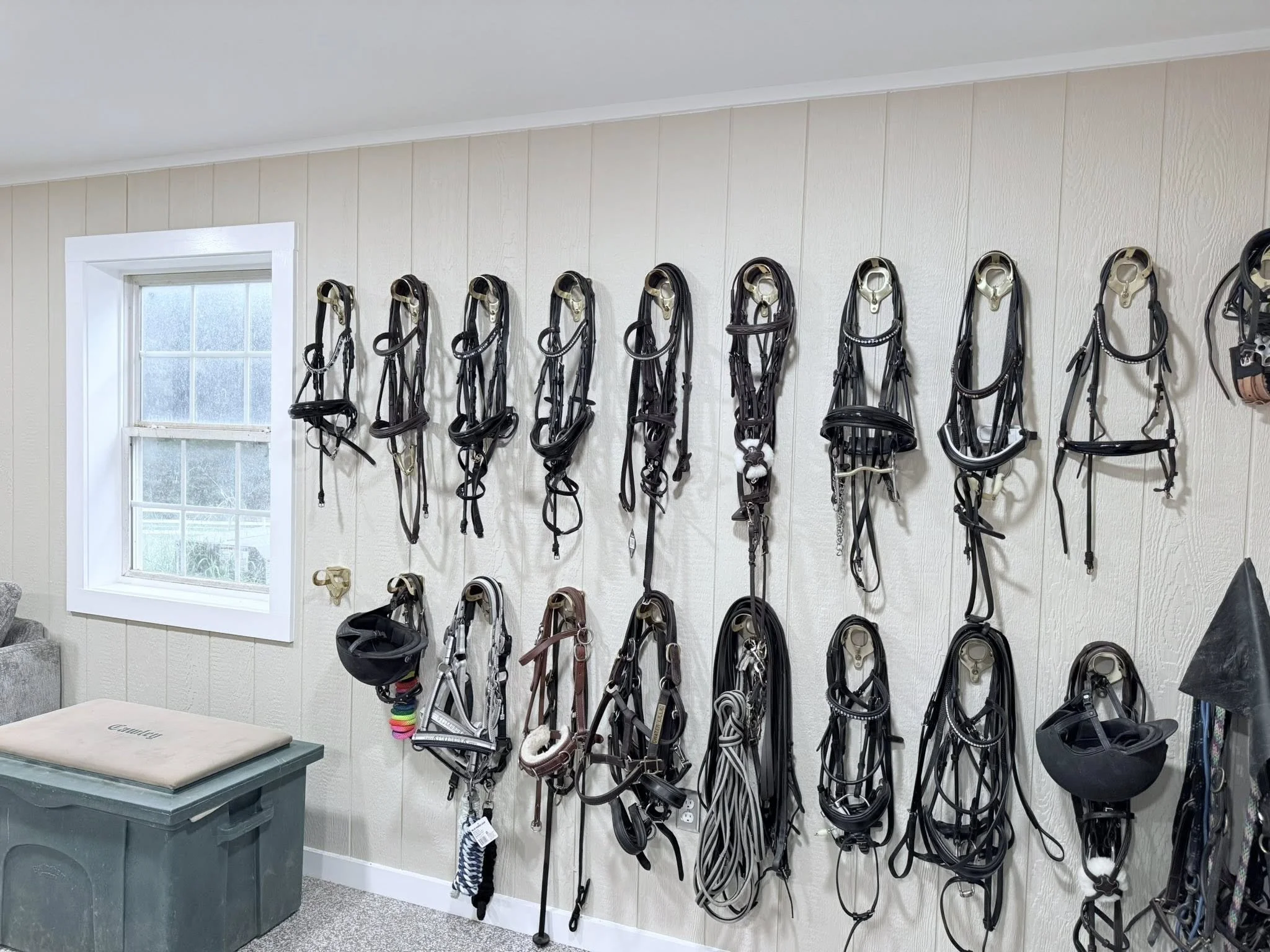 Wall of horse bridles and halters in a tack room.