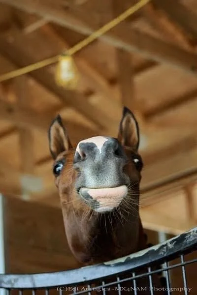 Photo Feb 10 2026, 6 50 17 PM (14) (1).jpg