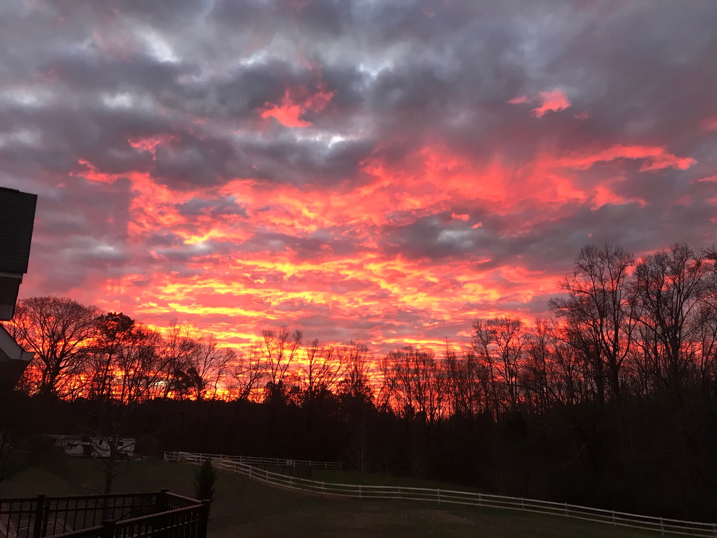 Photo Jan 17 2020, 7 35 21 AM.jpg