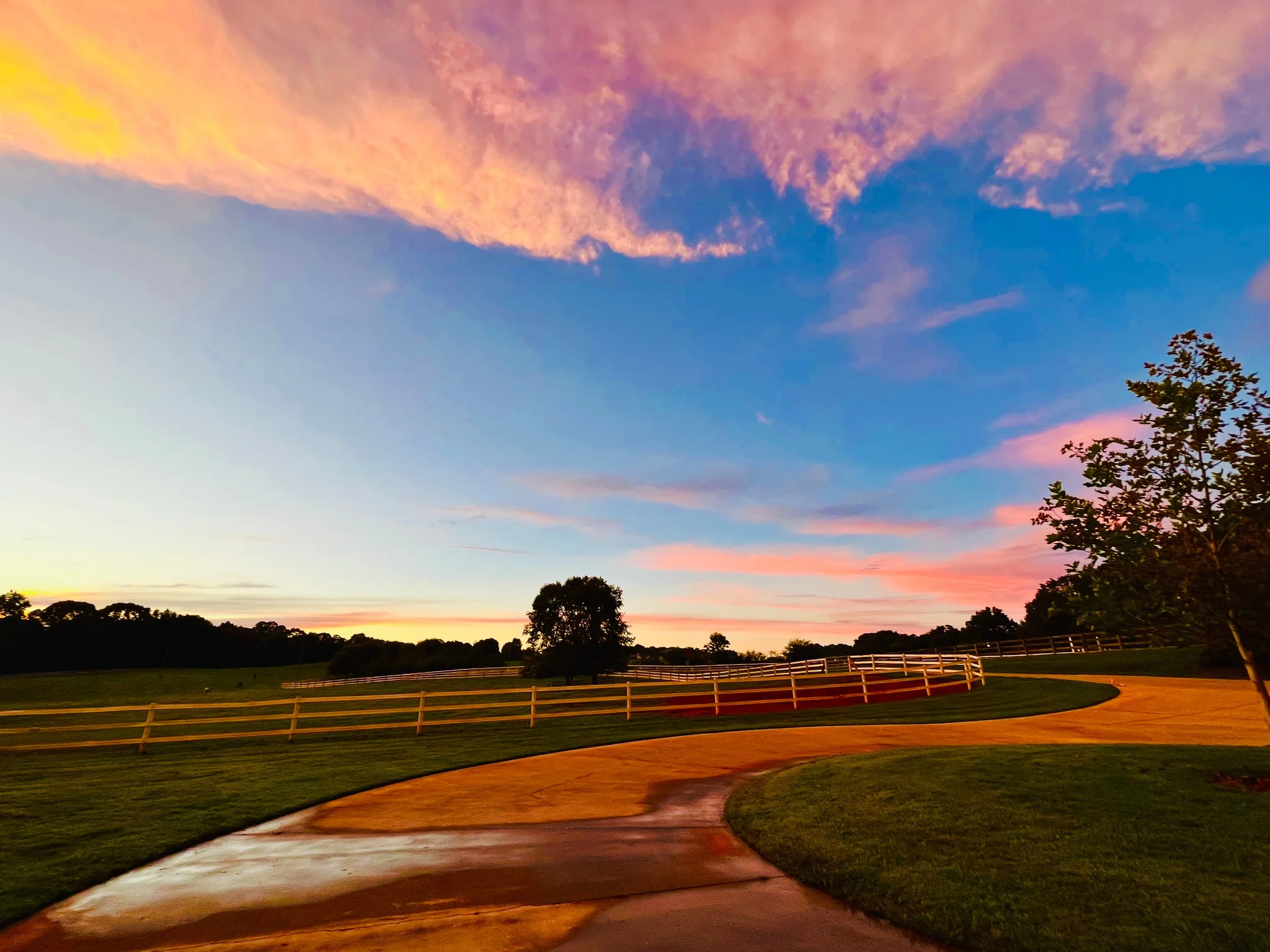 Photo Aug 25 2022, 8 21 38 PM.jpg