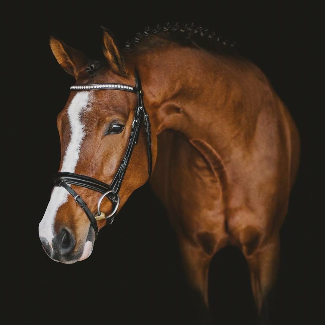 Photo Feb 10 2026, 6 50 17 PM (13).jpg