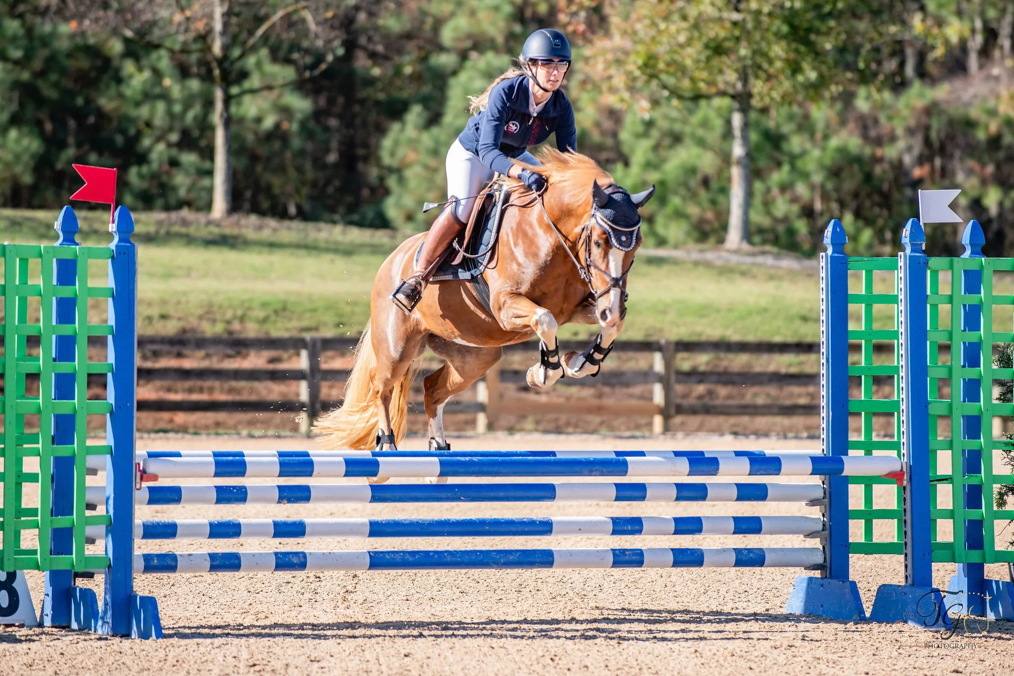 Photo Jan 01 2017, 12 26 04 AM.jpg