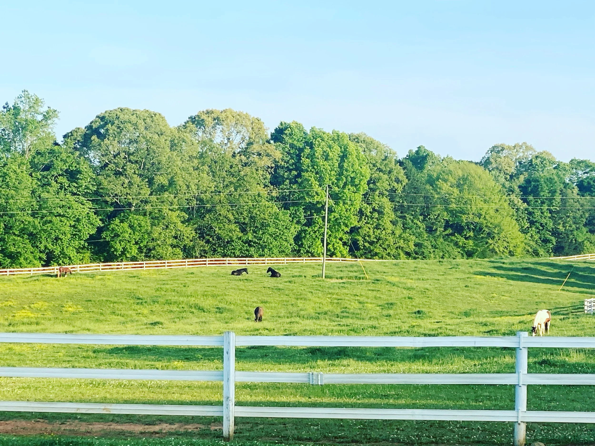 Photo Apr 28 2022, 8 02 12 AM.jpg